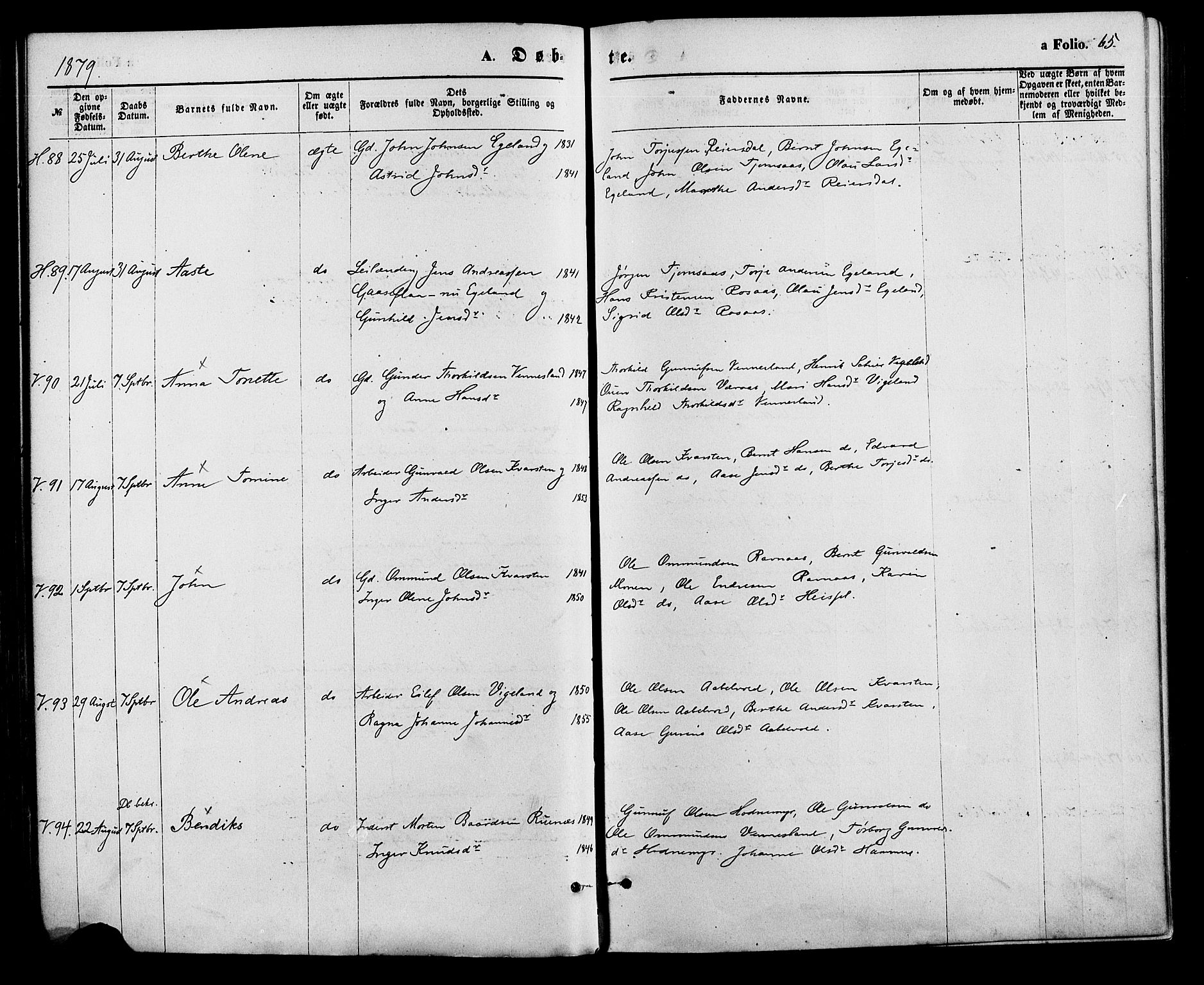 Vennesla sokneprestkontor, AV/SAK-1111-0045/Fa/Fac/L0008: Parish register (official) no. A 8, 1874-1883, p. 65