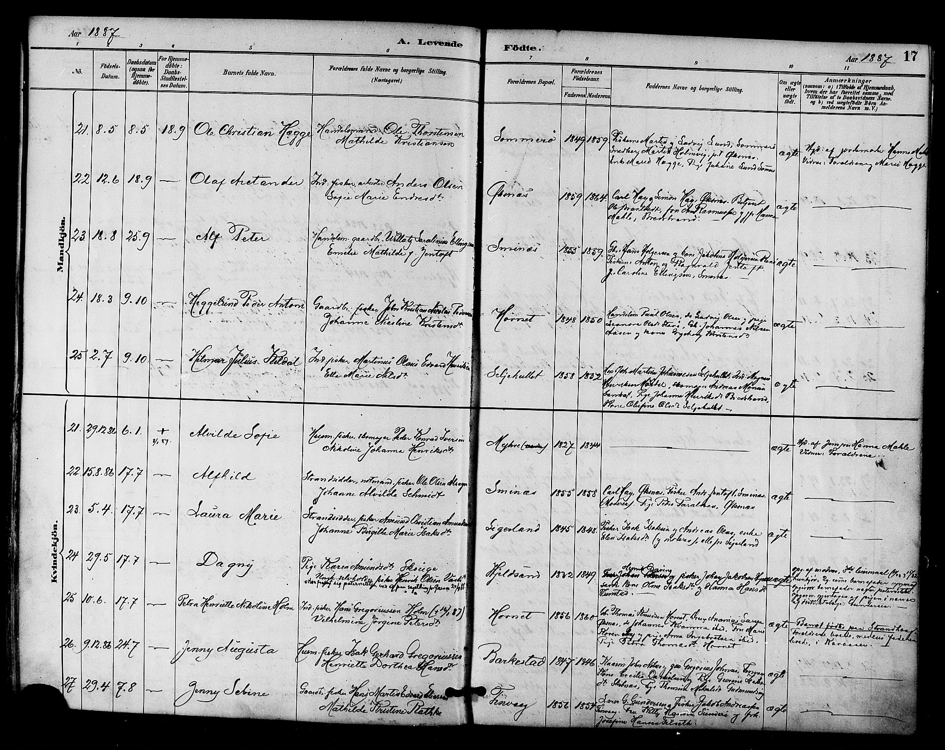 Ministerialprotokoller, klokkerbøker og fødselsregistre - Nordland, AV/SAT-A-1459/893/L1337: Parish register (official) no. 893A09, 1885-1893, p. 17