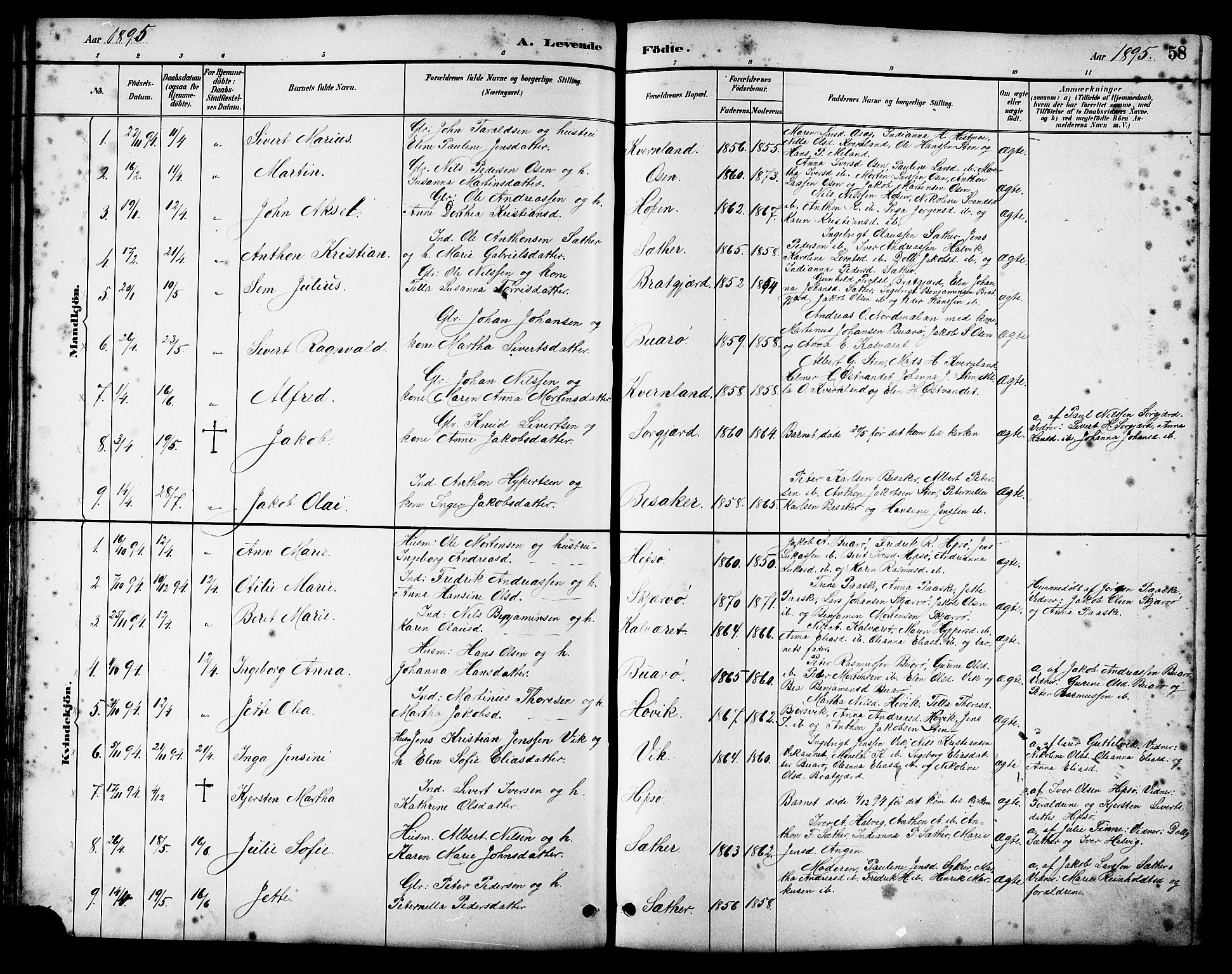 Ministerialprotokoller, klokkerbøker og fødselsregistre - Sør-Trøndelag, SAT/A-1456/658/L0726: Parish register (copy) no. 658C02, 1883-1908, p. 58