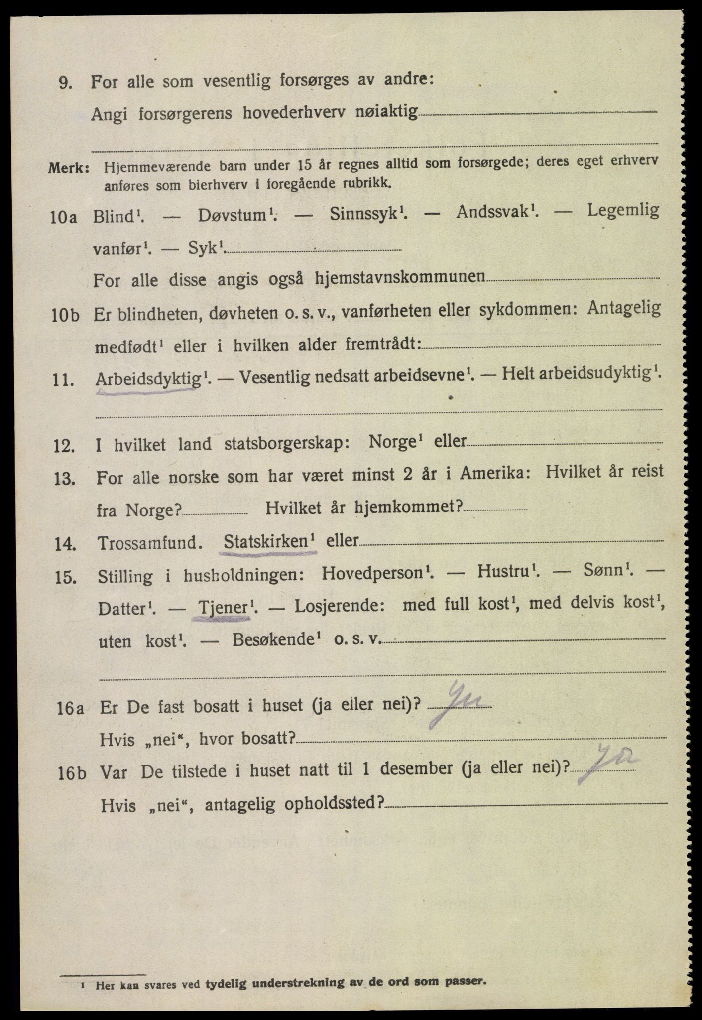 SAK, 1920 census for Hornnes, 1920, p. 2548