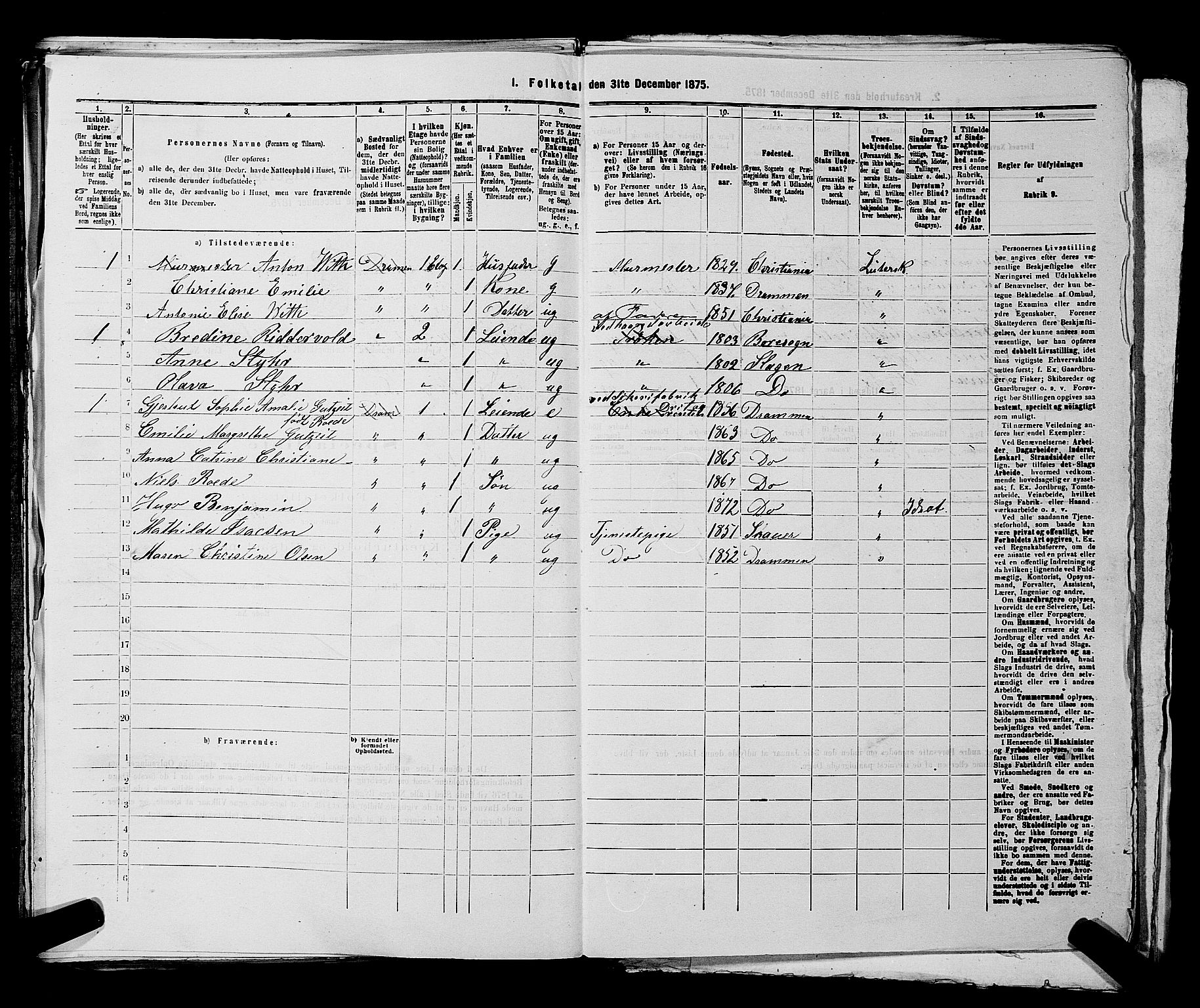 SAKO, 1875 census for 0602 Drammen, 1875, p. 1742