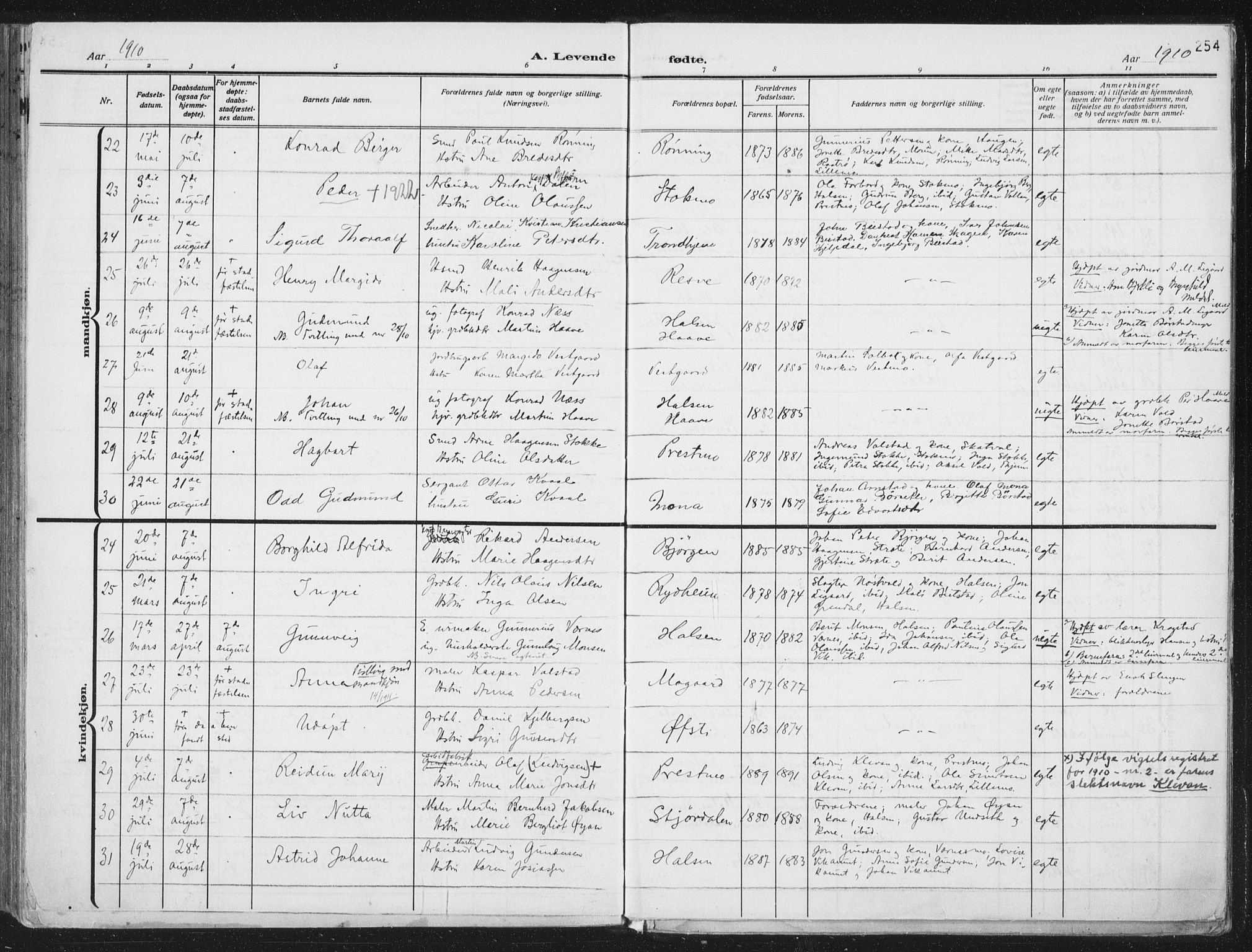 Ministerialprotokoller, klokkerbøker og fødselsregistre - Nord-Trøndelag, AV/SAT-A-1458/709/L0082: Parish register (official) no. 709A22, 1896-1916, p. 254