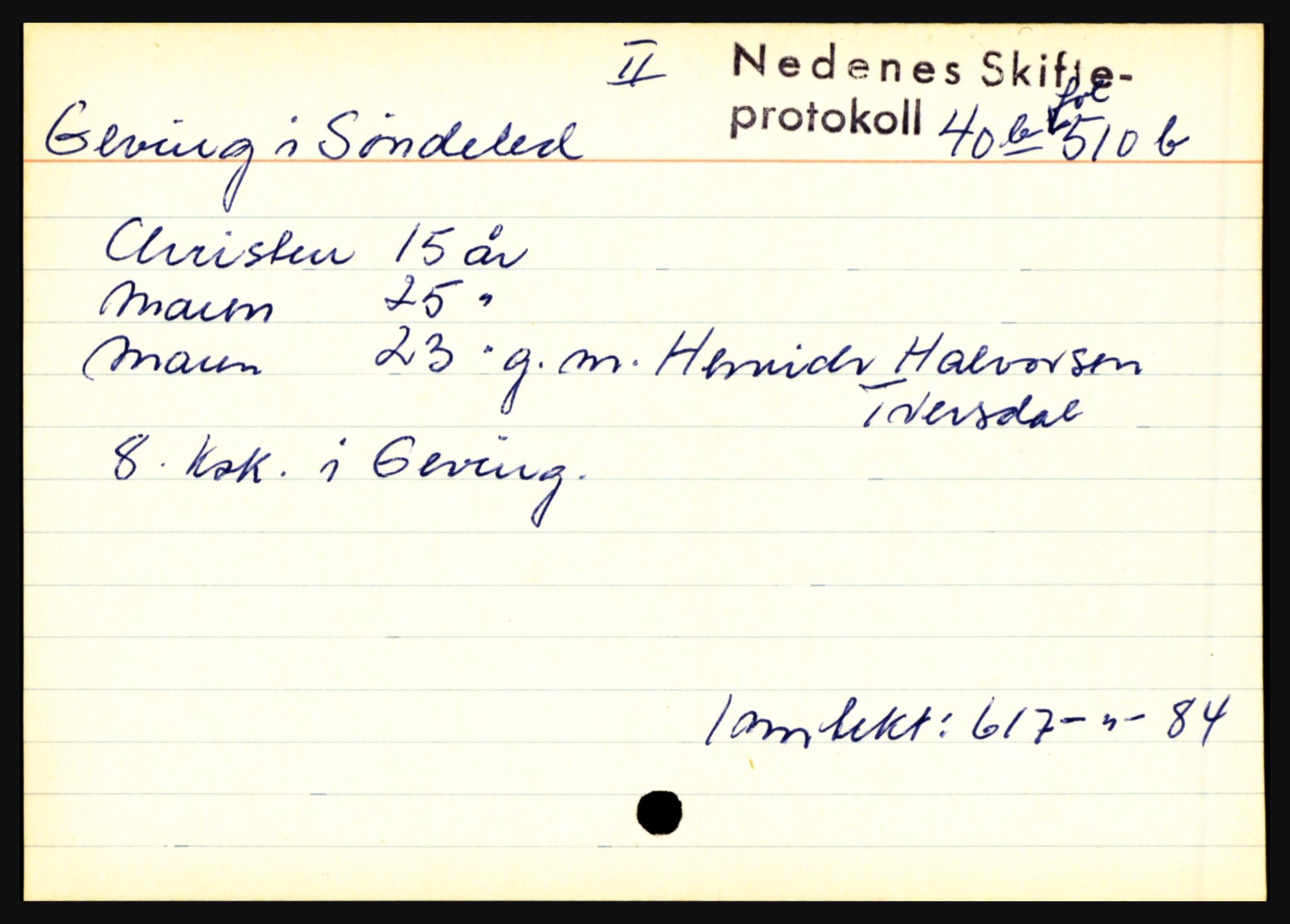 Nedenes sorenskriveri før 1824, AV/SAK-1221-0007/H, p. 8809