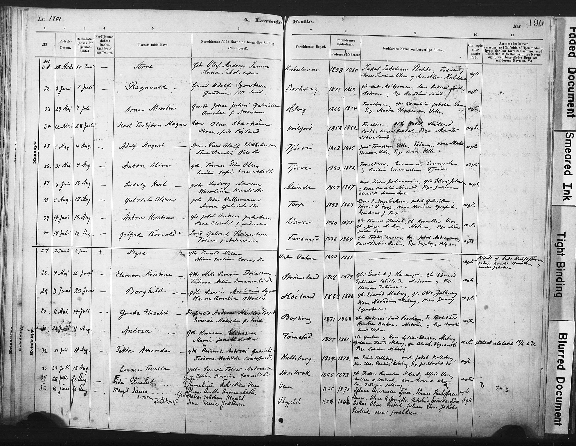 Lista sokneprestkontor, AV/SAK-1111-0027/F/Fa/L0012: Parish register (official) no. A 12, 1879-1903, p. 190