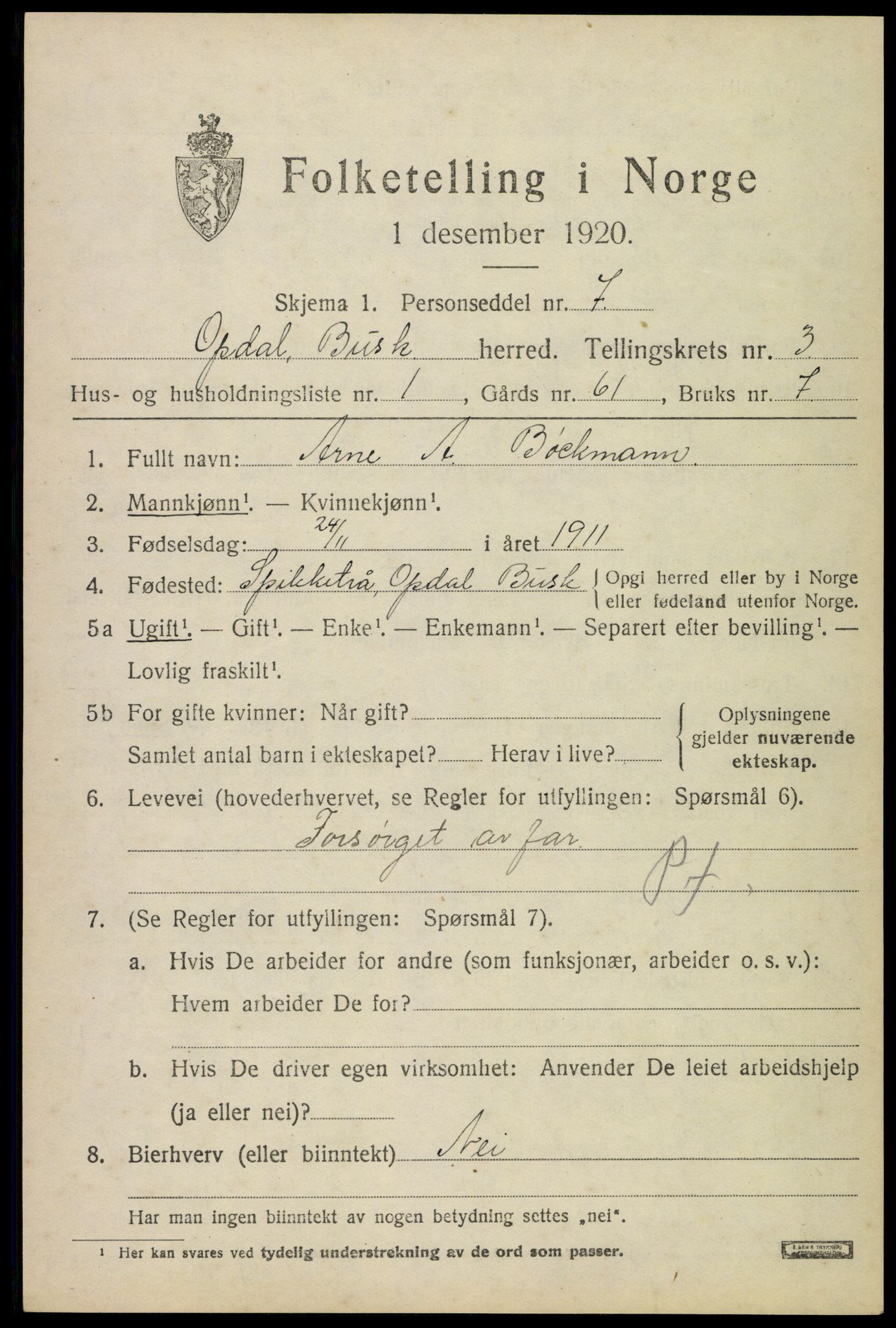 SAKO, 1920 census for Uvdal, 1920, p. 1303