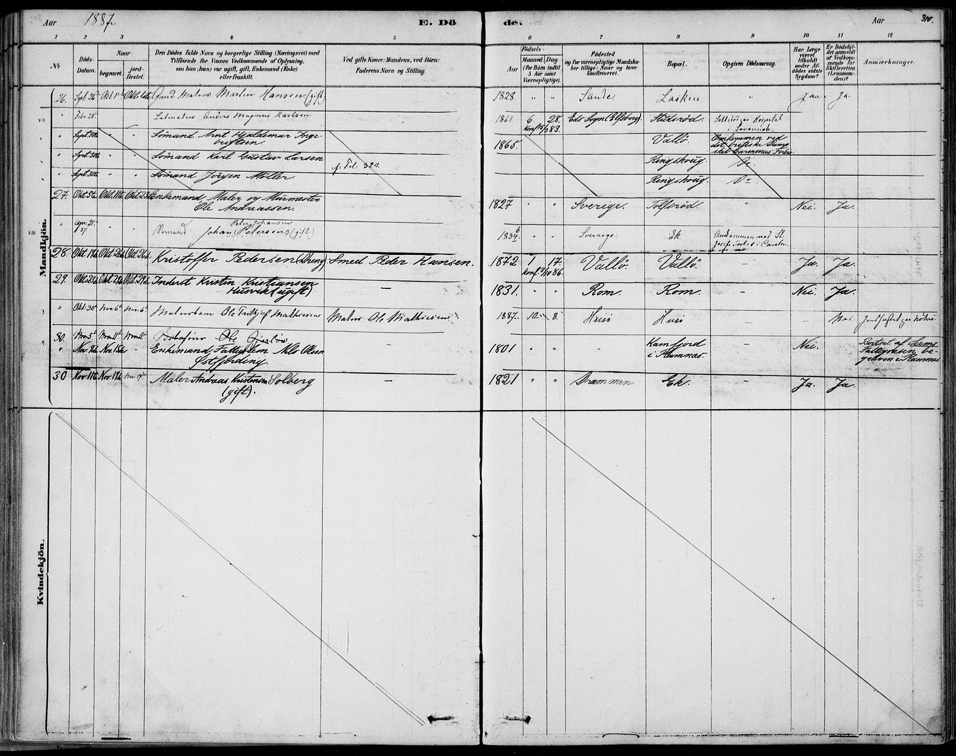 Sem kirkebøker, SAKO/A-5/F/Fb/L0004: Parish register (official) no. II 4, 1878-1891, p. 310