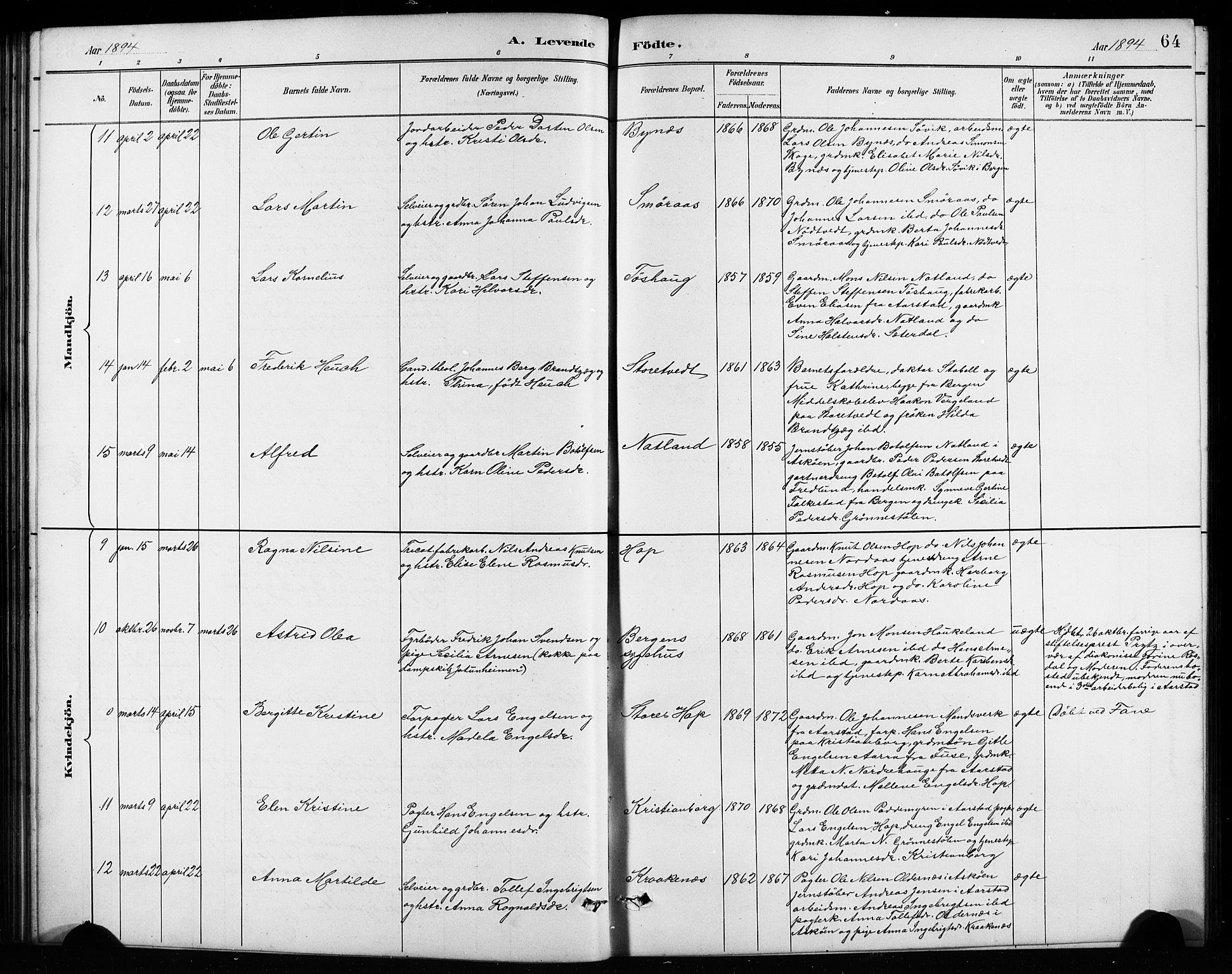 Birkeland Sokneprestembete, AV/SAB-A-74601/H/Hab: Parish register (copy) no. A 4, 1888-1897, p. 64