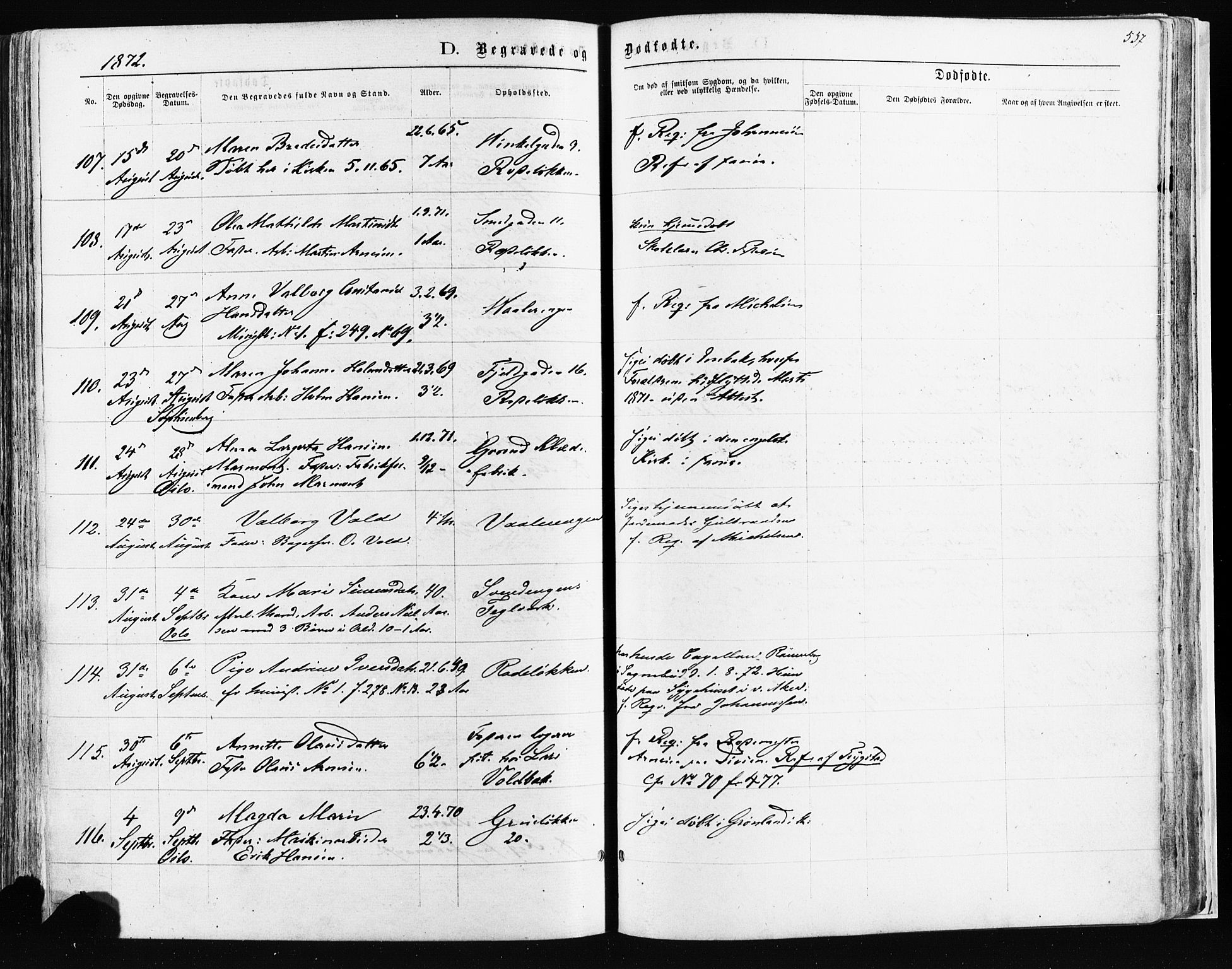 Østre Aker prestekontor Kirkebøker, AV/SAO-A-10840/F/Fa/L0003: Parish register (official) no. I 3, 1869-1875, p. 557