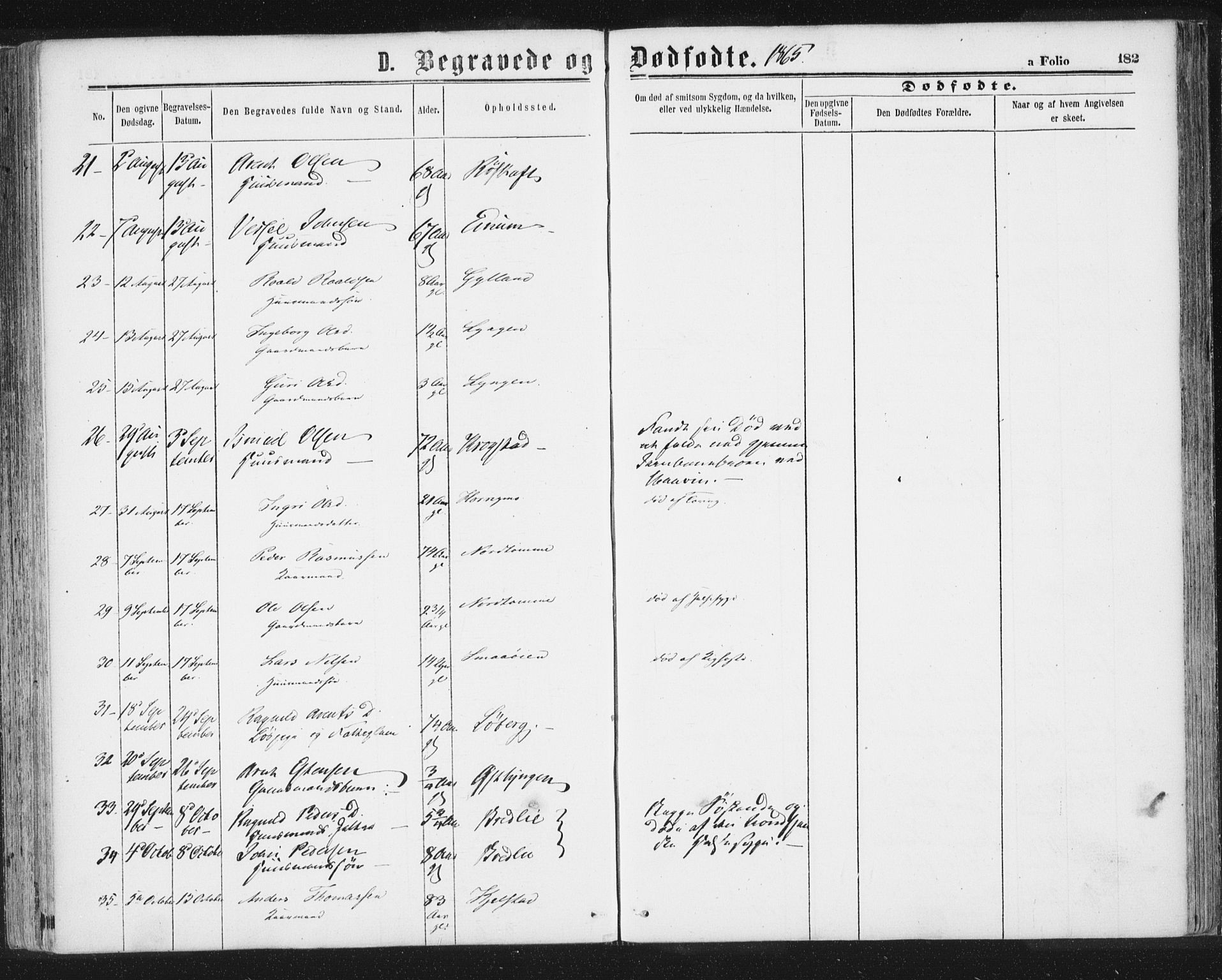 Ministerialprotokoller, klokkerbøker og fødselsregistre - Sør-Trøndelag, SAT/A-1456/692/L1104: Parish register (official) no. 692A04, 1862-1878, p. 182