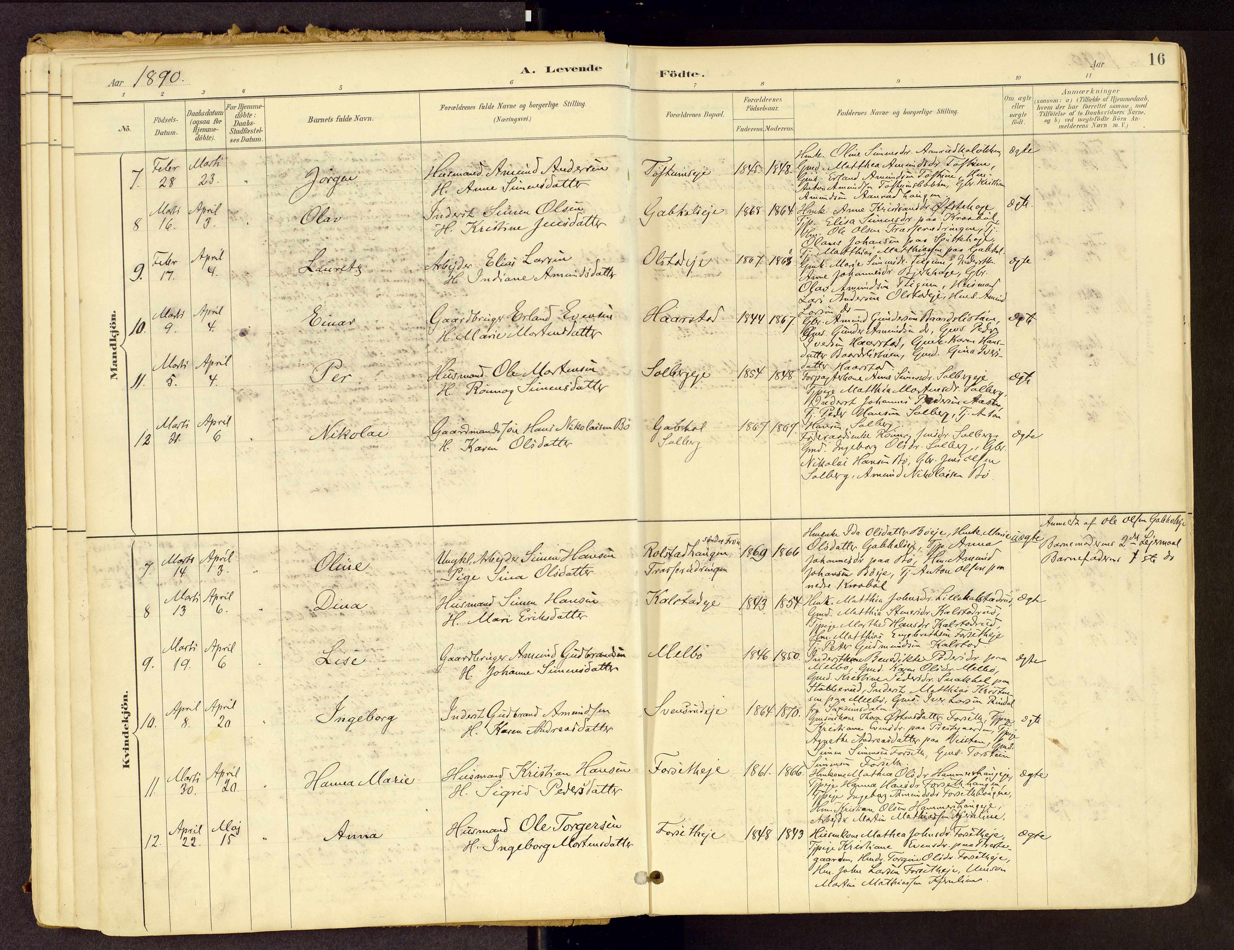 Vestre Gausdal prestekontor, SAH/PREST-094/H/Ha/Haa/L0001: Parish register (official) no. 1, 1887-1914, p. 16