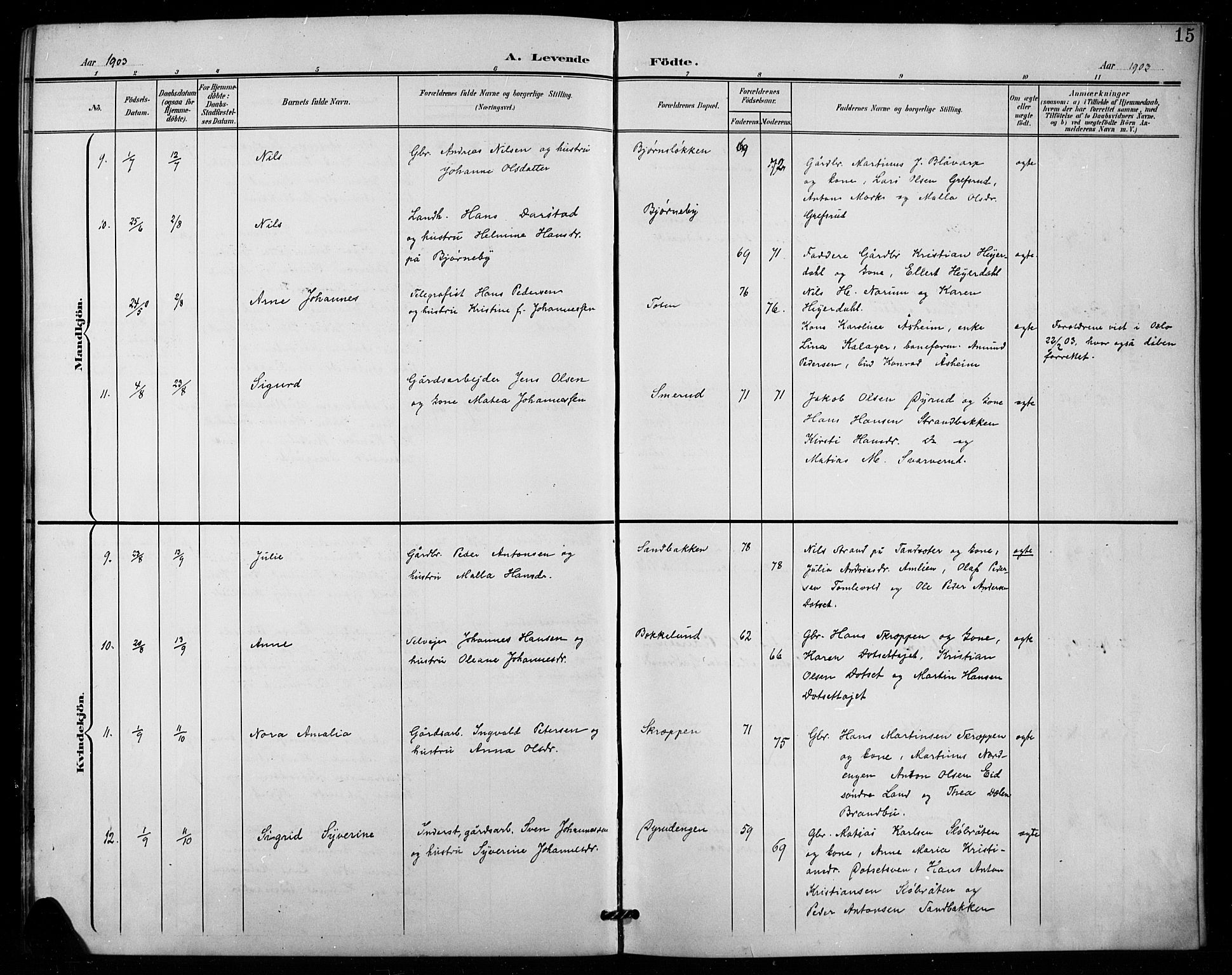 Vestre Toten prestekontor, AV/SAH-PREST-108/H/Ha/Hab/L0016: Parish register (copy) no. 16, 1901-1915, p. 15