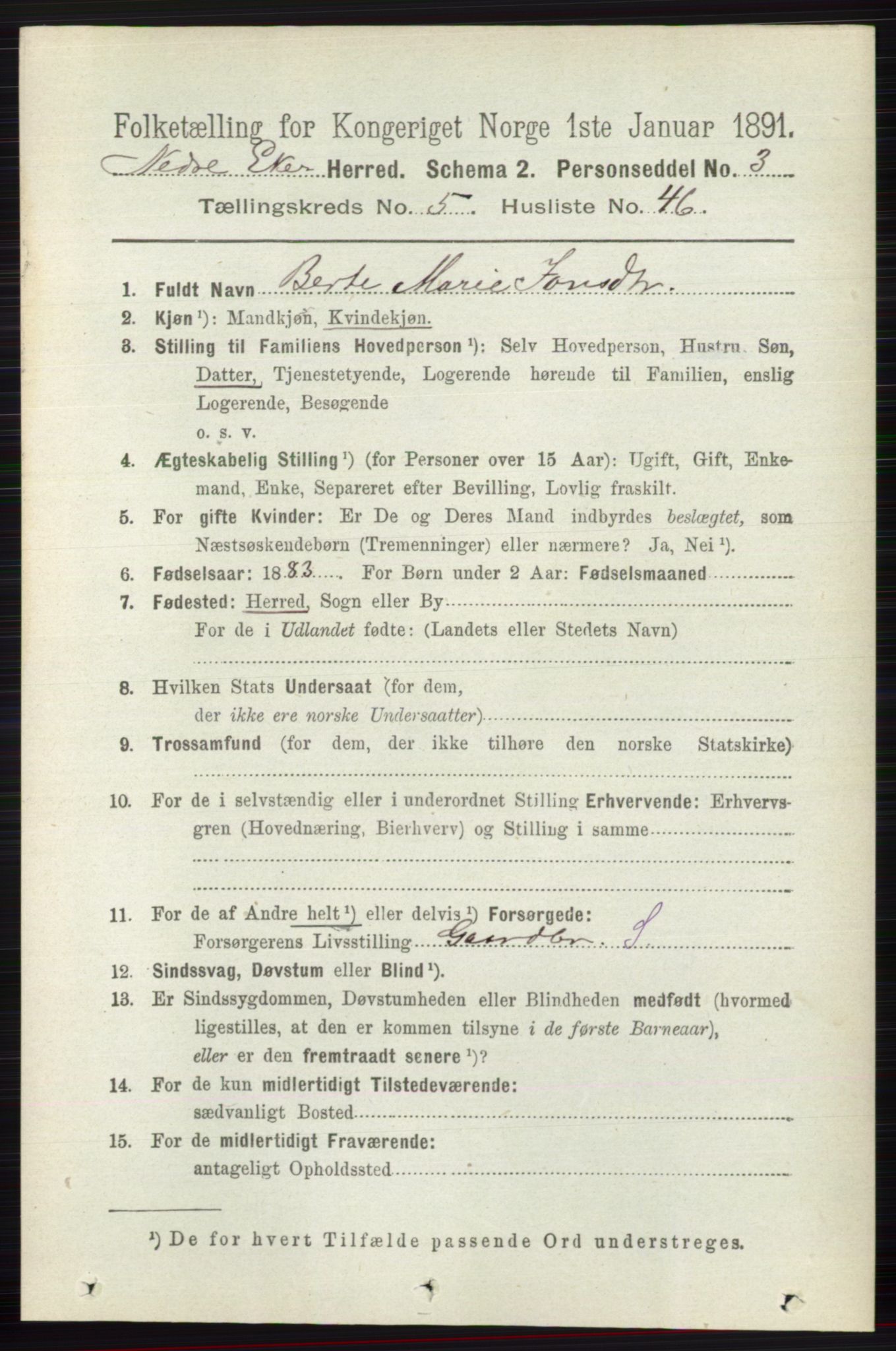 RA, 1891 census for 0625 Nedre Eiker, 1891, p. 2596