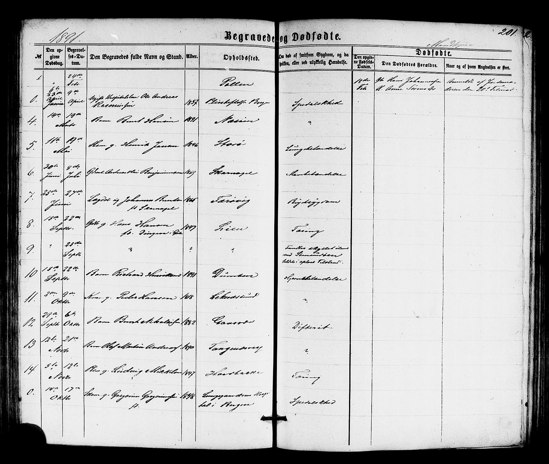 Solund sokneprestembete, AV/SAB-A-81401: Parish register (copy) no. A 1, 1860-1893, p. 201