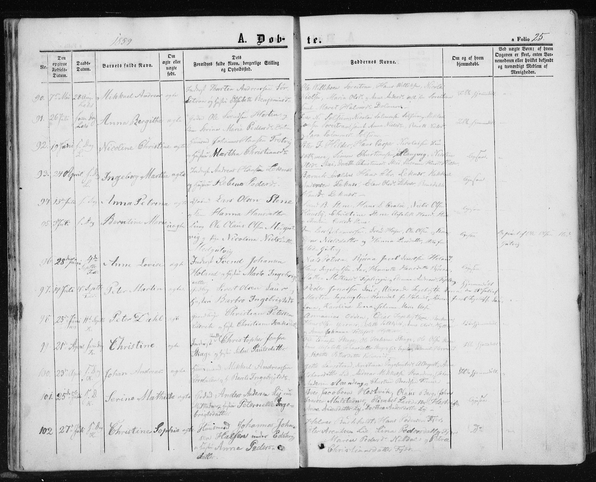 Ministerialprotokoller, klokkerbøker og fødselsregistre - Nord-Trøndelag, AV/SAT-A-1458/780/L0641: Parish register (official) no. 780A06, 1857-1874, p. 25