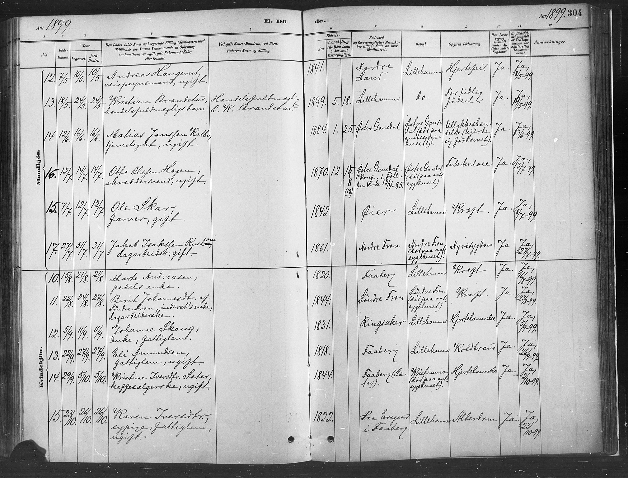 Fåberg prestekontor, SAH/PREST-086/H/Ha/Haa/L0010: Parish register (official) no. 10, 1879-1900, p. 304