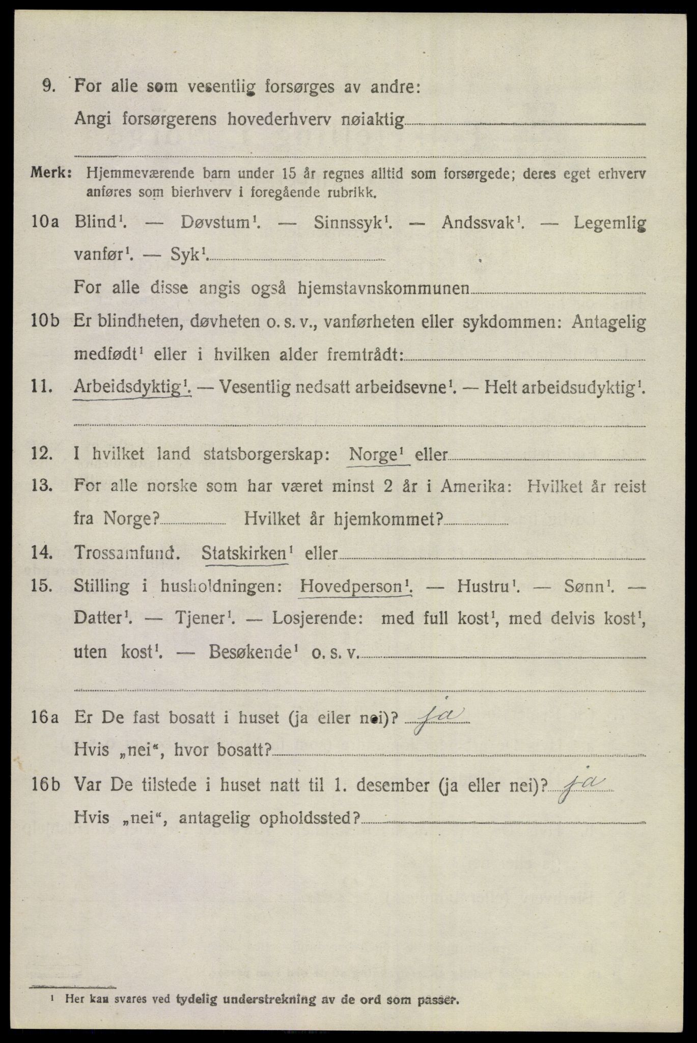 SAKO, 1920 census for Hol (Buskerud), 1920, p. 4936