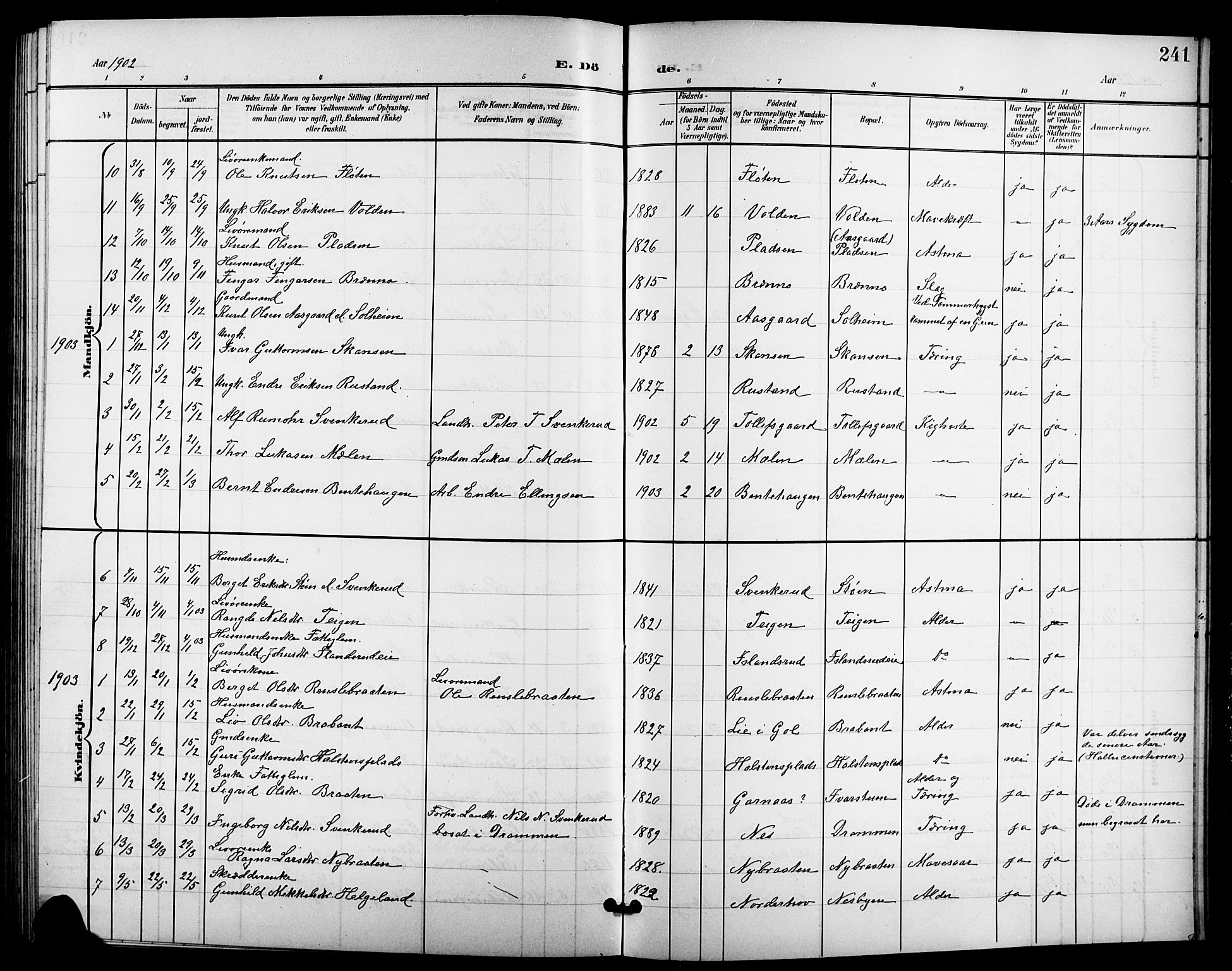 Nes kirkebøker, SAKO/A-236/G/Ga/L0004: Parish register (copy) no. I 4, 1900-1925, p. 241