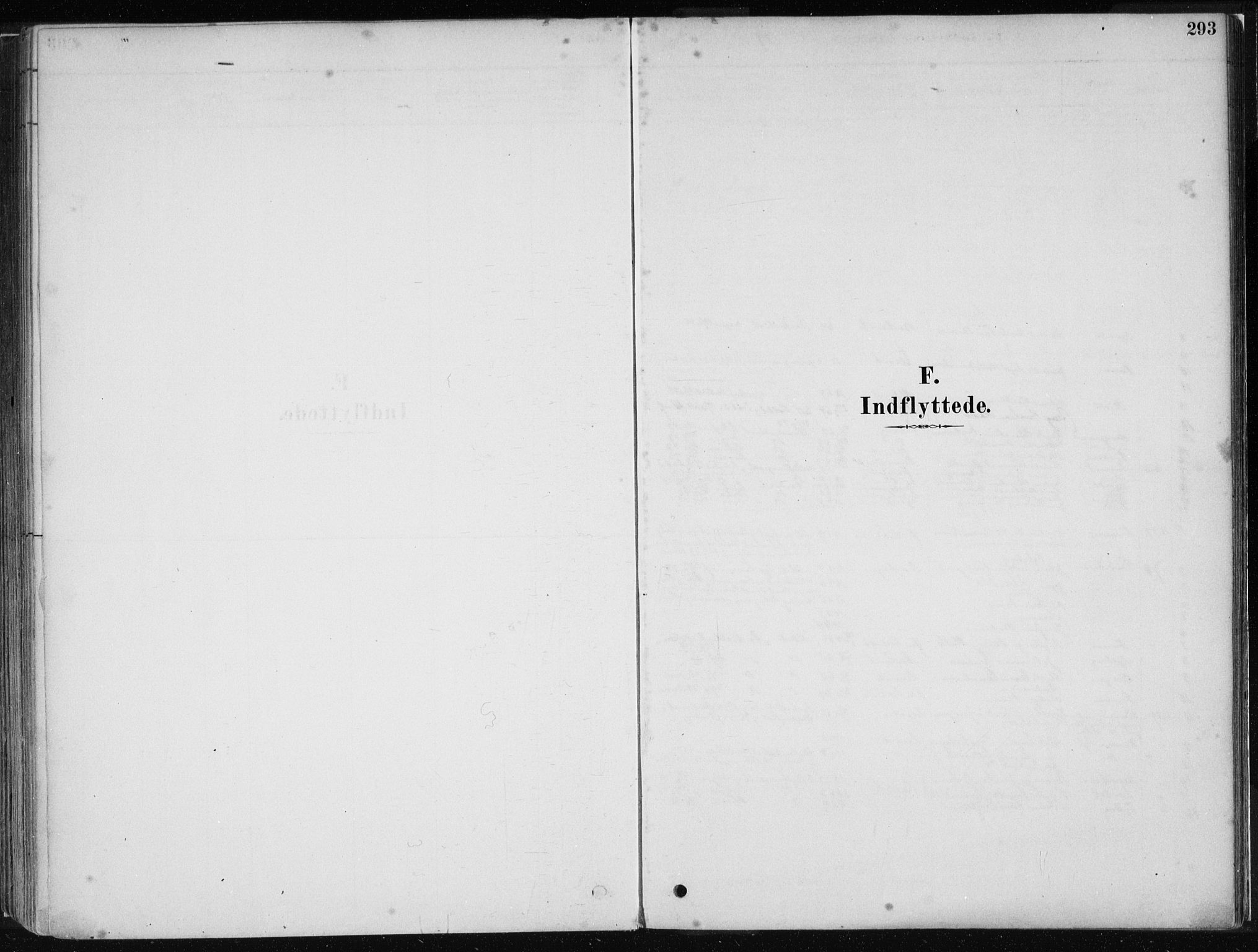 Stord sokneprestembete, SAB/A-78201/H/Haa: Parish register (official) no. B 2, 1878-1913, p. 293