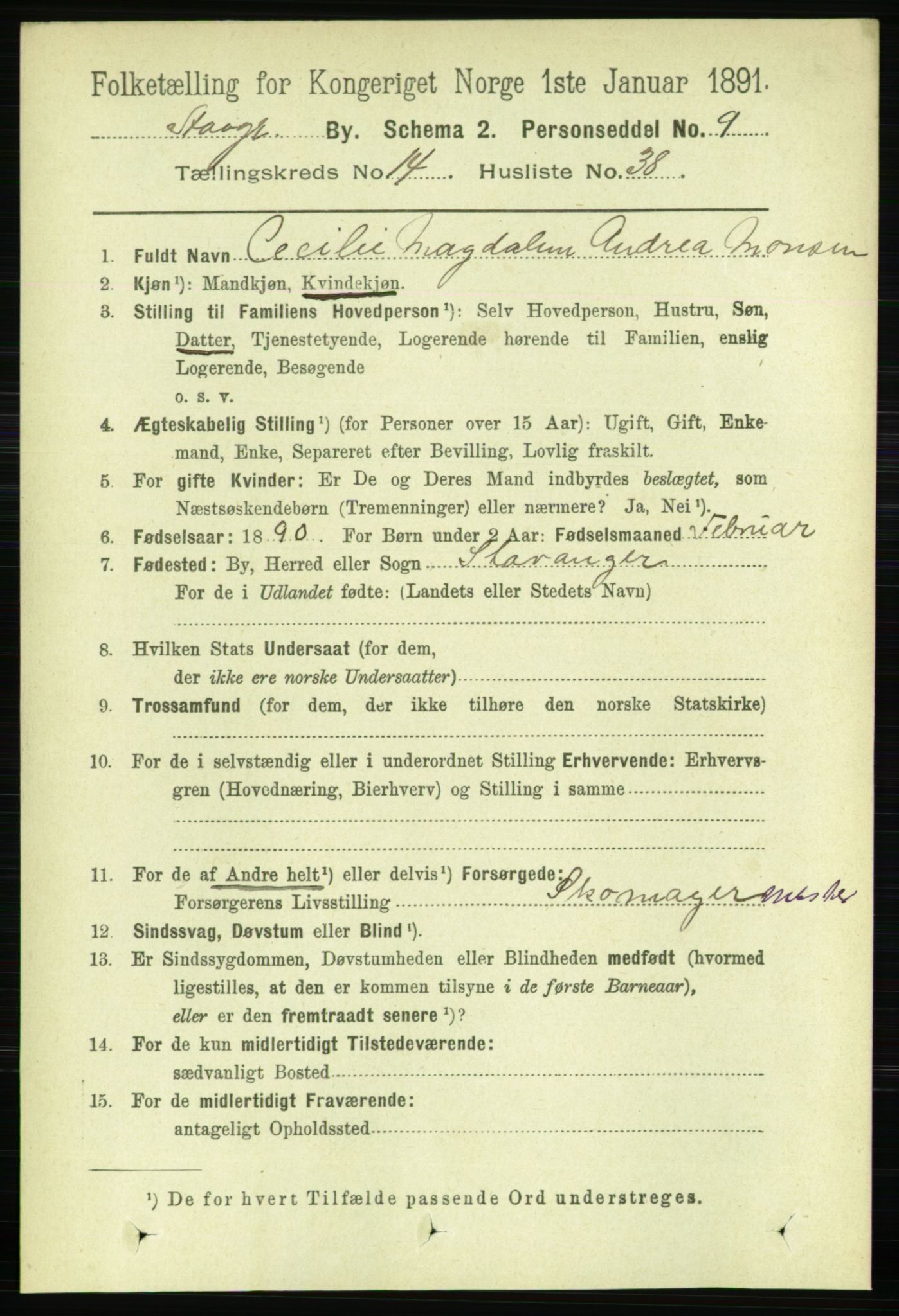 RA, 1891 census for 1103 Stavanger, 1891, p. 17317