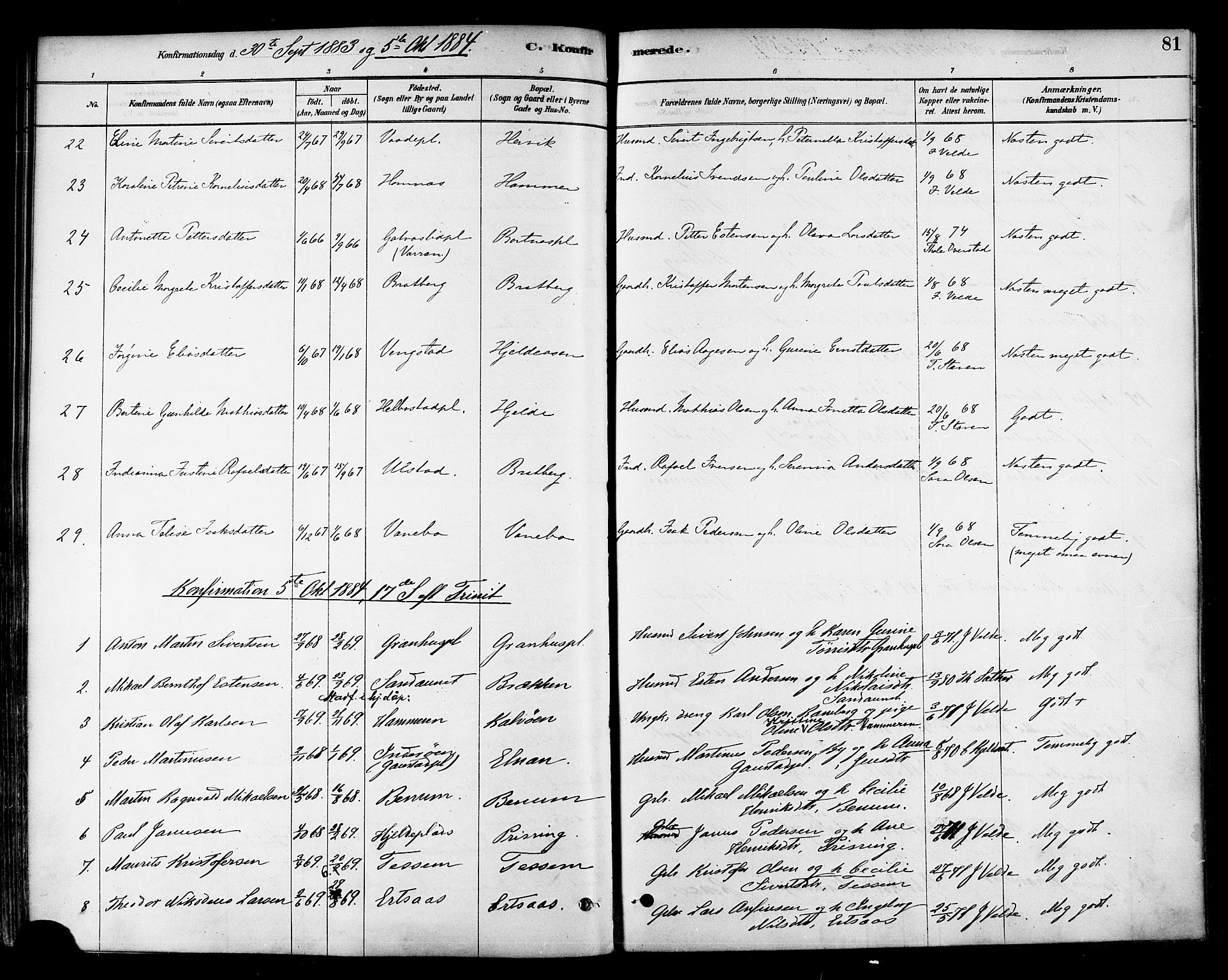 Ministerialprotokoller, klokkerbøker og fødselsregistre - Nord-Trøndelag, SAT/A-1458/741/L0395: Parish register (official) no. 741A09, 1878-1888, p. 81