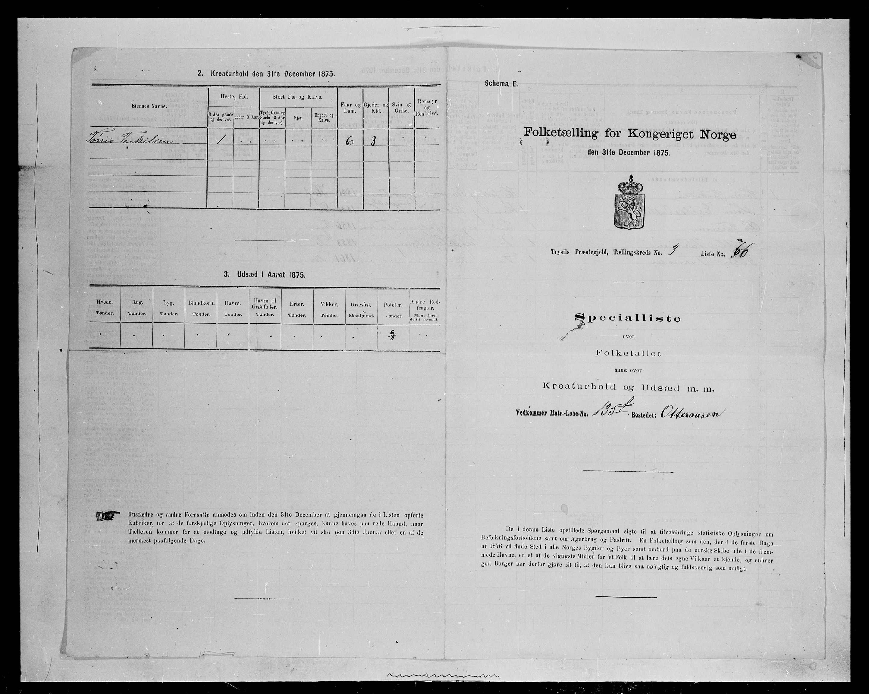 SAH, 1875 census for 0428P Trysil, 1875, p. 534