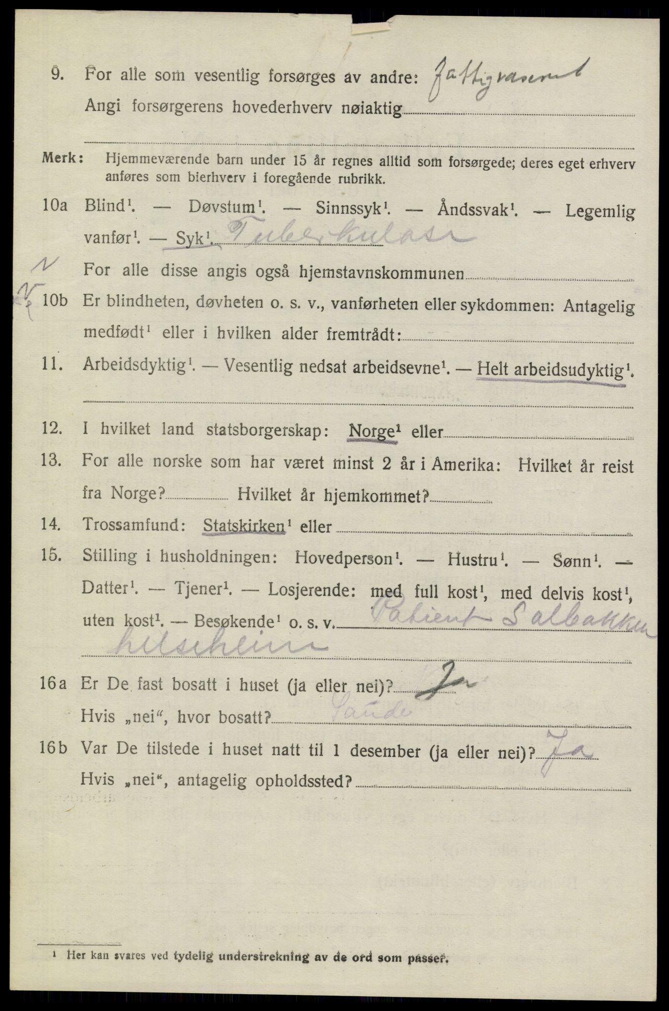 SAKO, 1920 census for Heddal, 1920, p. 2385