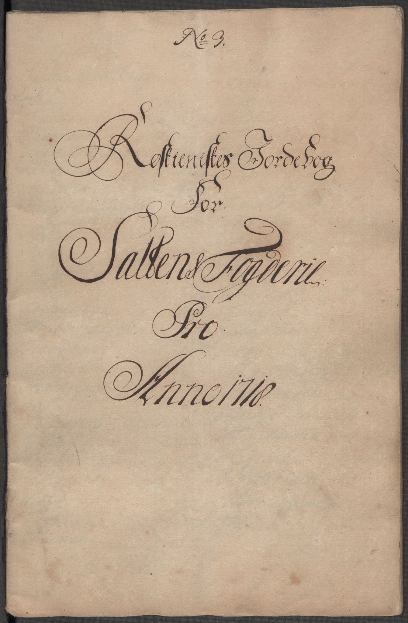 Rentekammeret inntil 1814, Reviderte regnskaper, Fogderegnskap, AV/RA-EA-4092/R66/L4588: Fogderegnskap Salten, 1718, p. 104