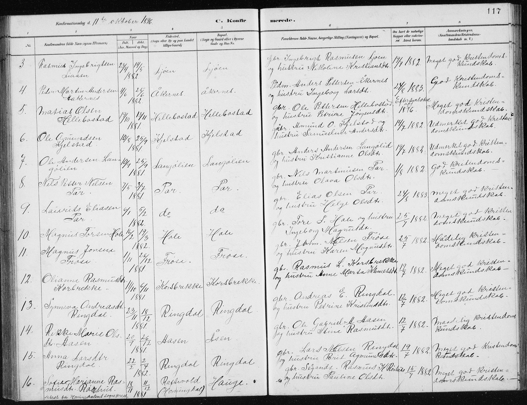 Ministerialprotokoller, klokkerbøker og fødselsregistre - Møre og Romsdal, AV/SAT-A-1454/517/L0230: Parish register (copy) no. 517C03, 1879-1912, p. 117