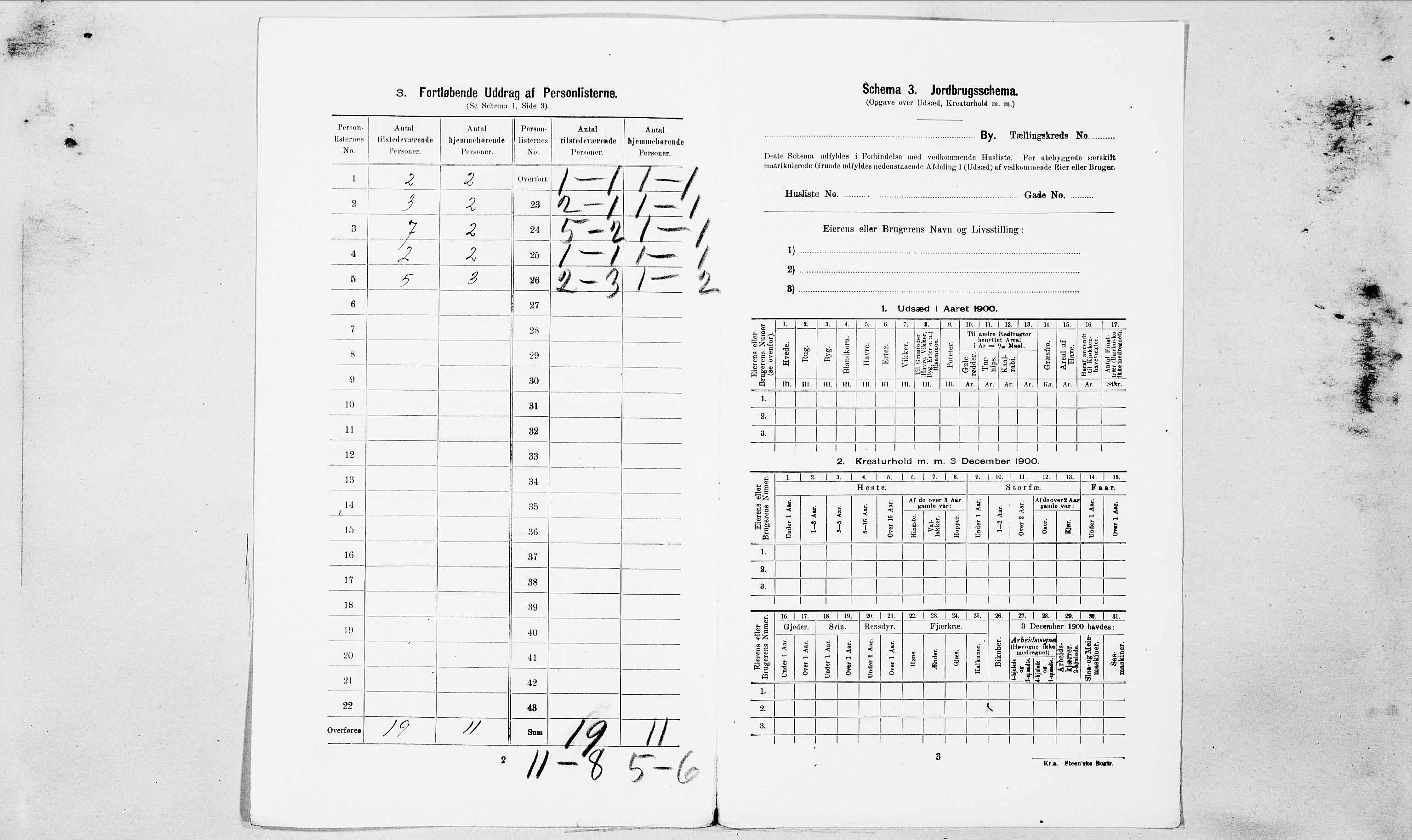 SAT, 1900 census for Ålesund, 1900, p. 3219