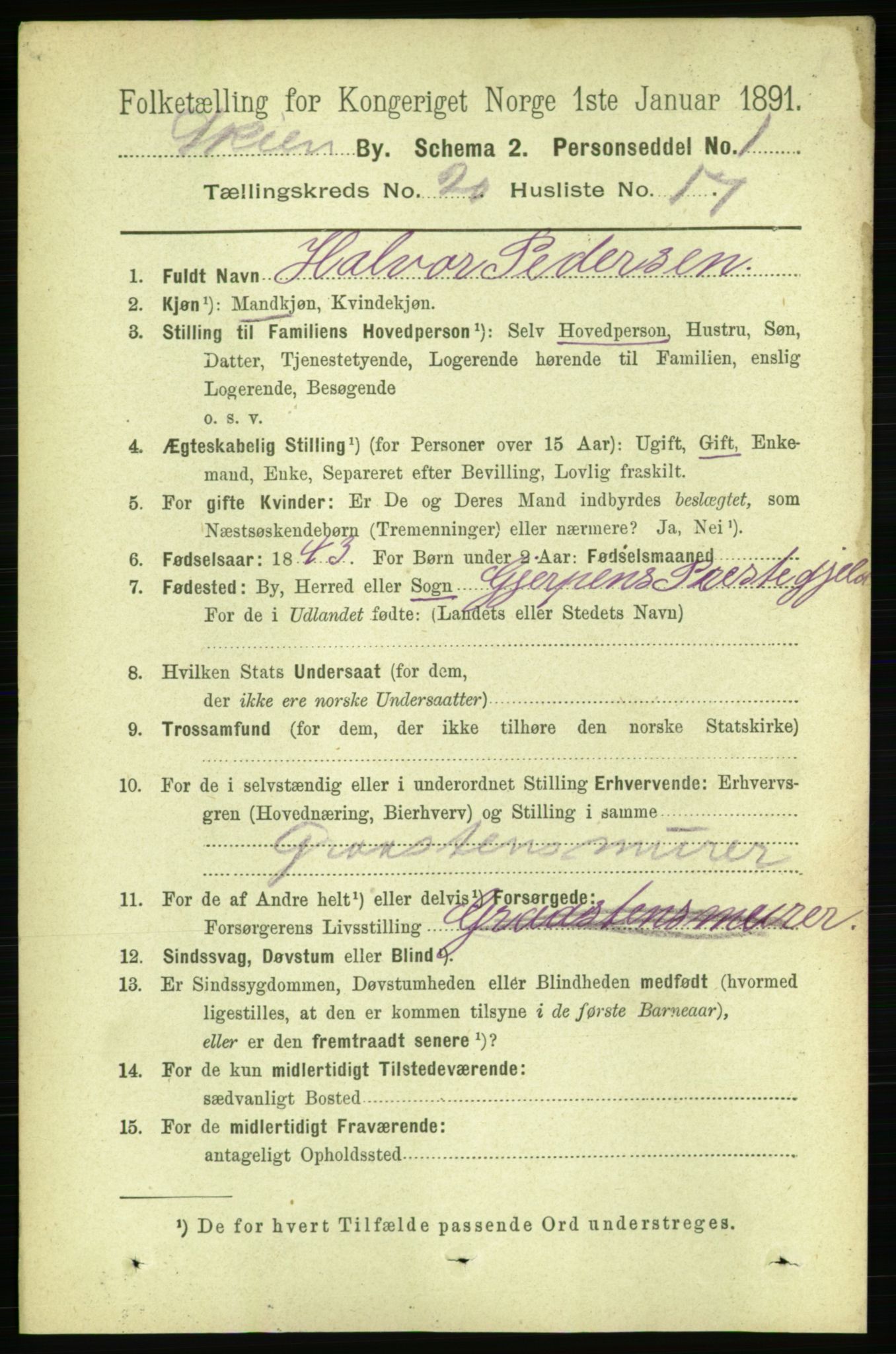 RA, 1891 census for 0806 Skien, 1891, p. 5304