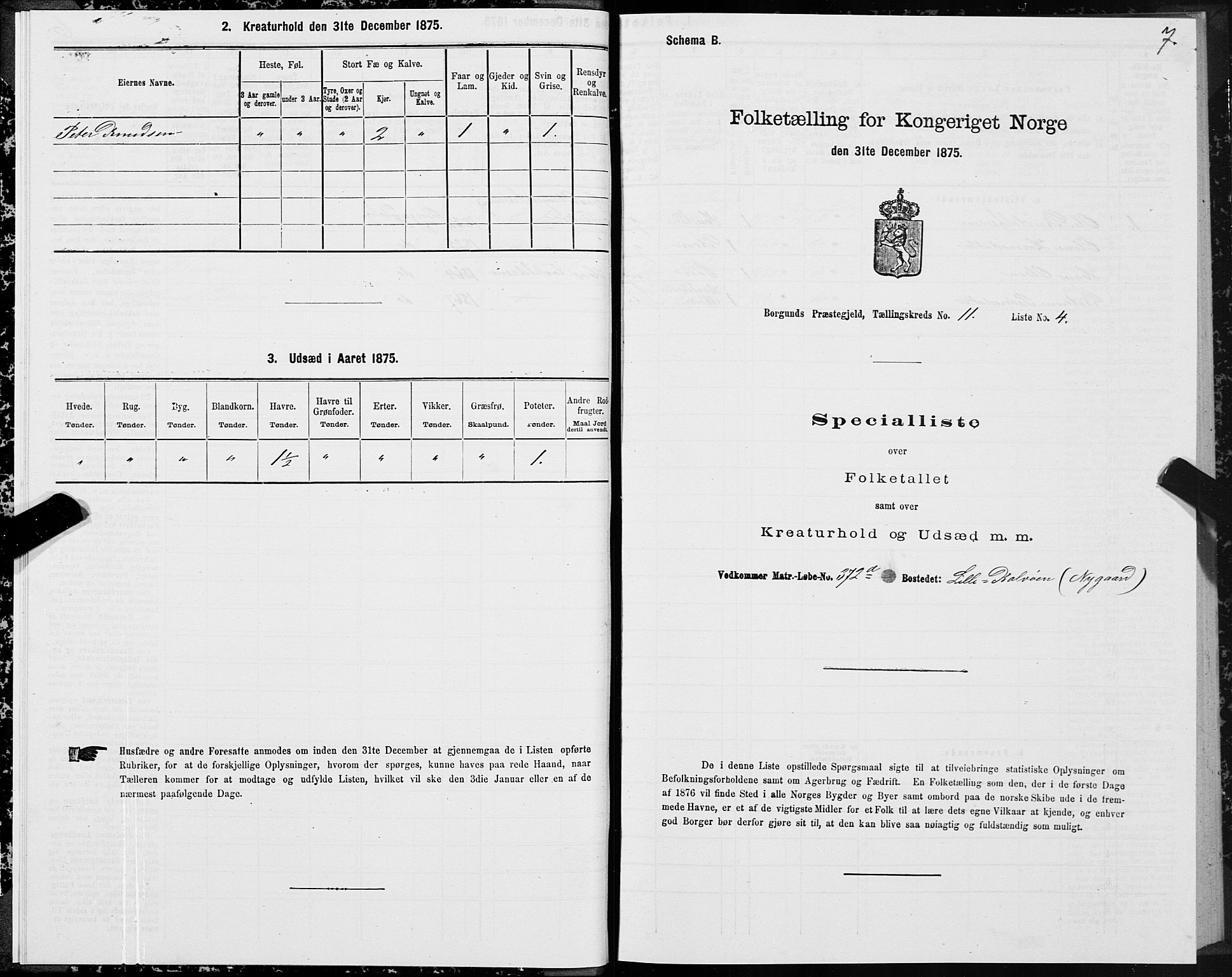 SAT, 1875 census for 1531P Borgund, 1875, p. 6007