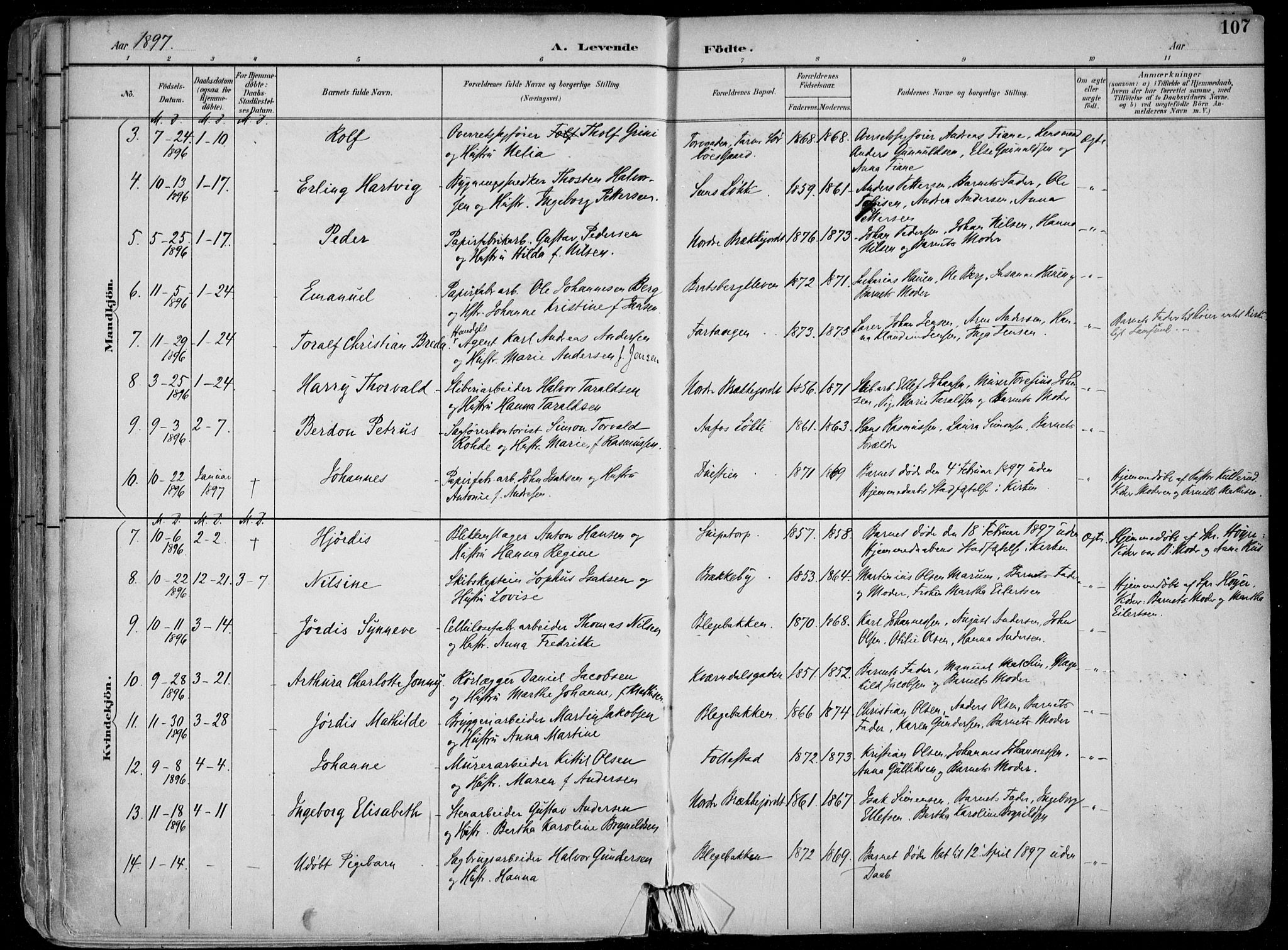 Skien kirkebøker, SAKO/A-302/F/Fa/L0010: Parish register (official) no. 10, 1891-1899, p. 107