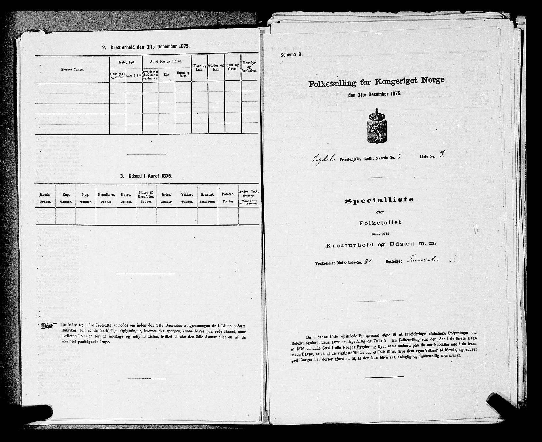 SAKO, 1875 census for 0621P Sigdal, 1875, p. 435