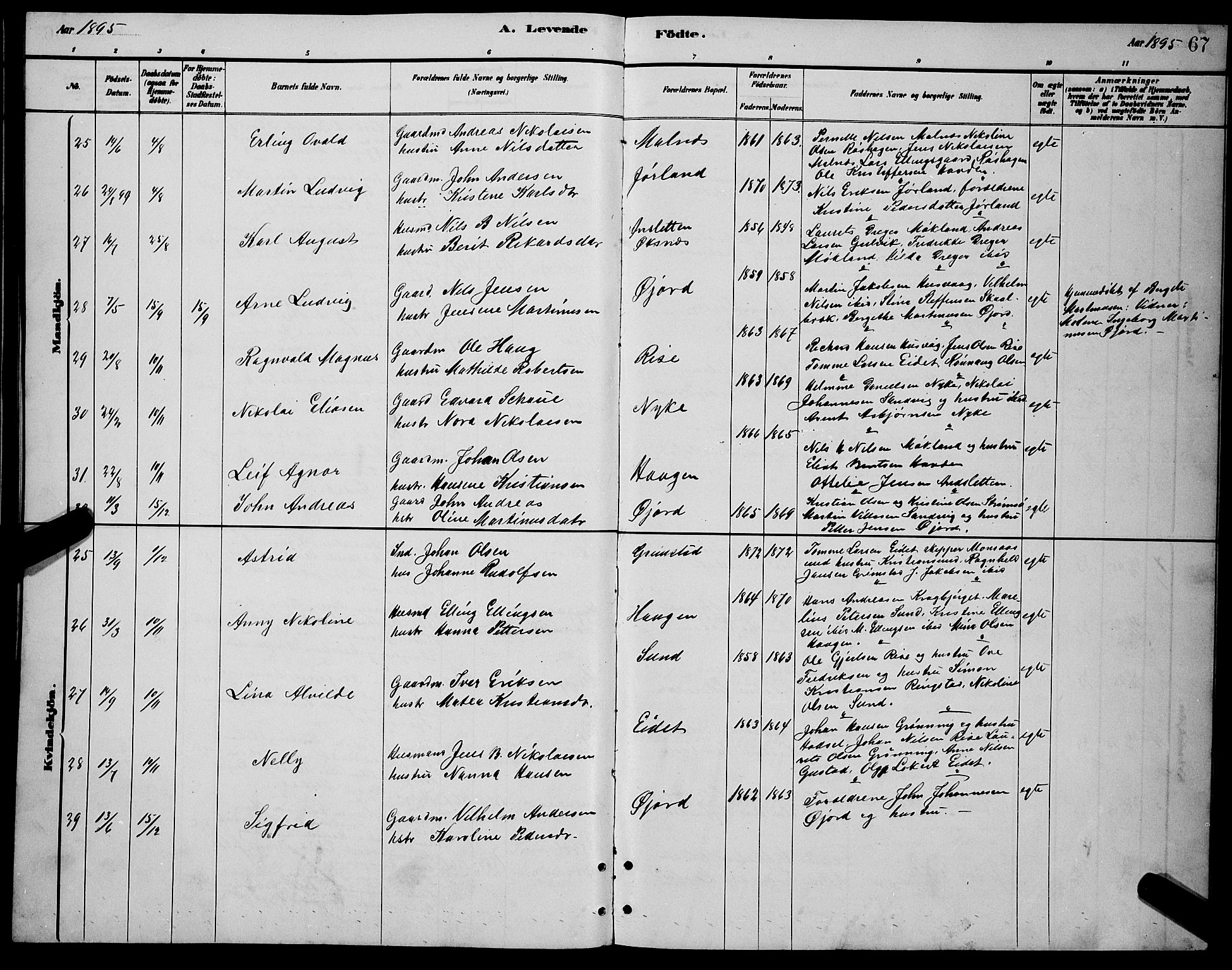 Ministerialprotokoller, klokkerbøker og fødselsregistre - Nordland, AV/SAT-A-1459/892/L1325: Parish register (copy) no. 892C02, 1878-1896, p. 67