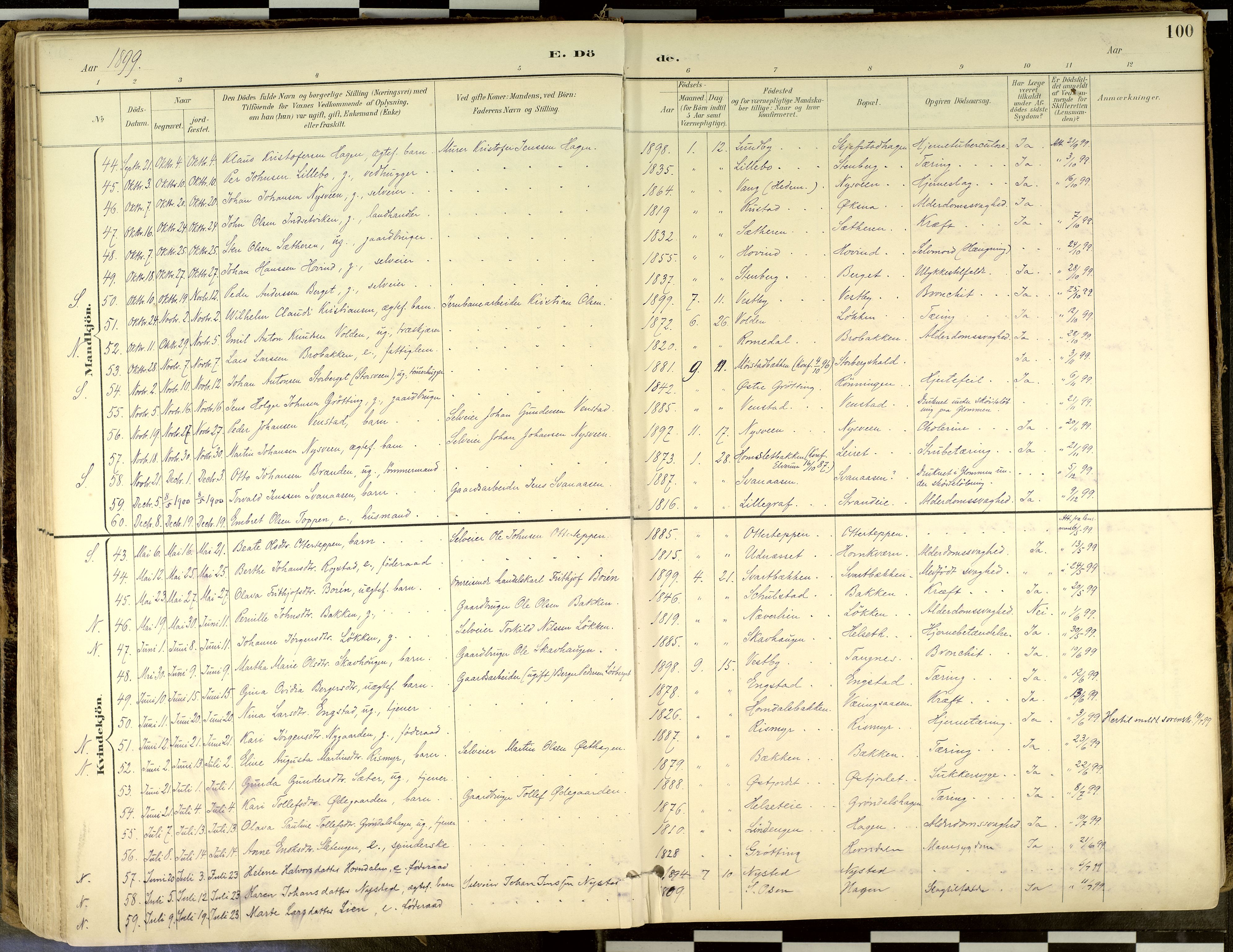 Elverum prestekontor, SAH/PREST-044/H/Ha/Haa/L0018: Parish register (official) no. 18, 1894-1914, p. 100