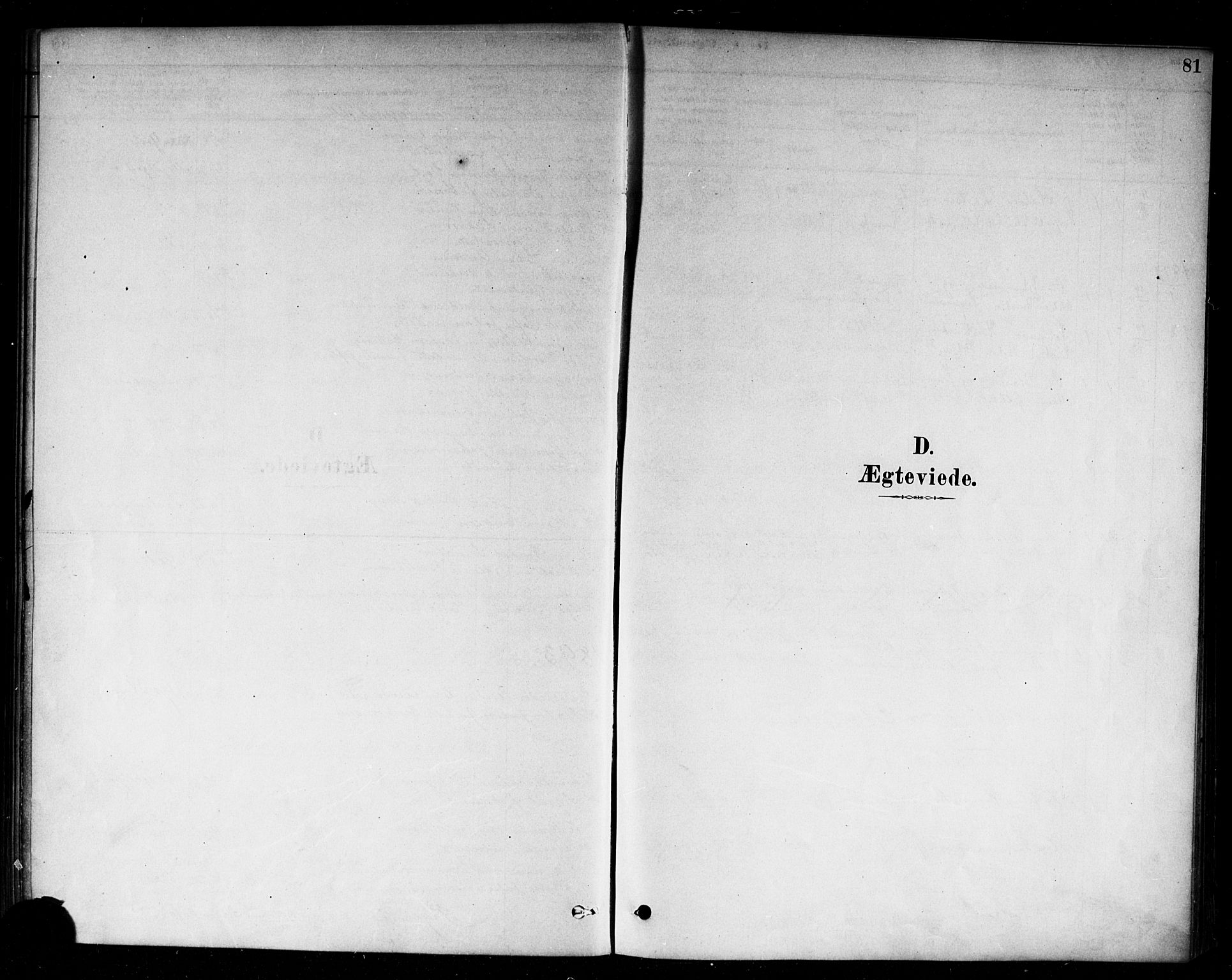 Moss prestekontor Kirkebøker, AV/SAO-A-2003/F/Fc/L0001: Parish register (official) no. III 1, 1878-1894, p. 81