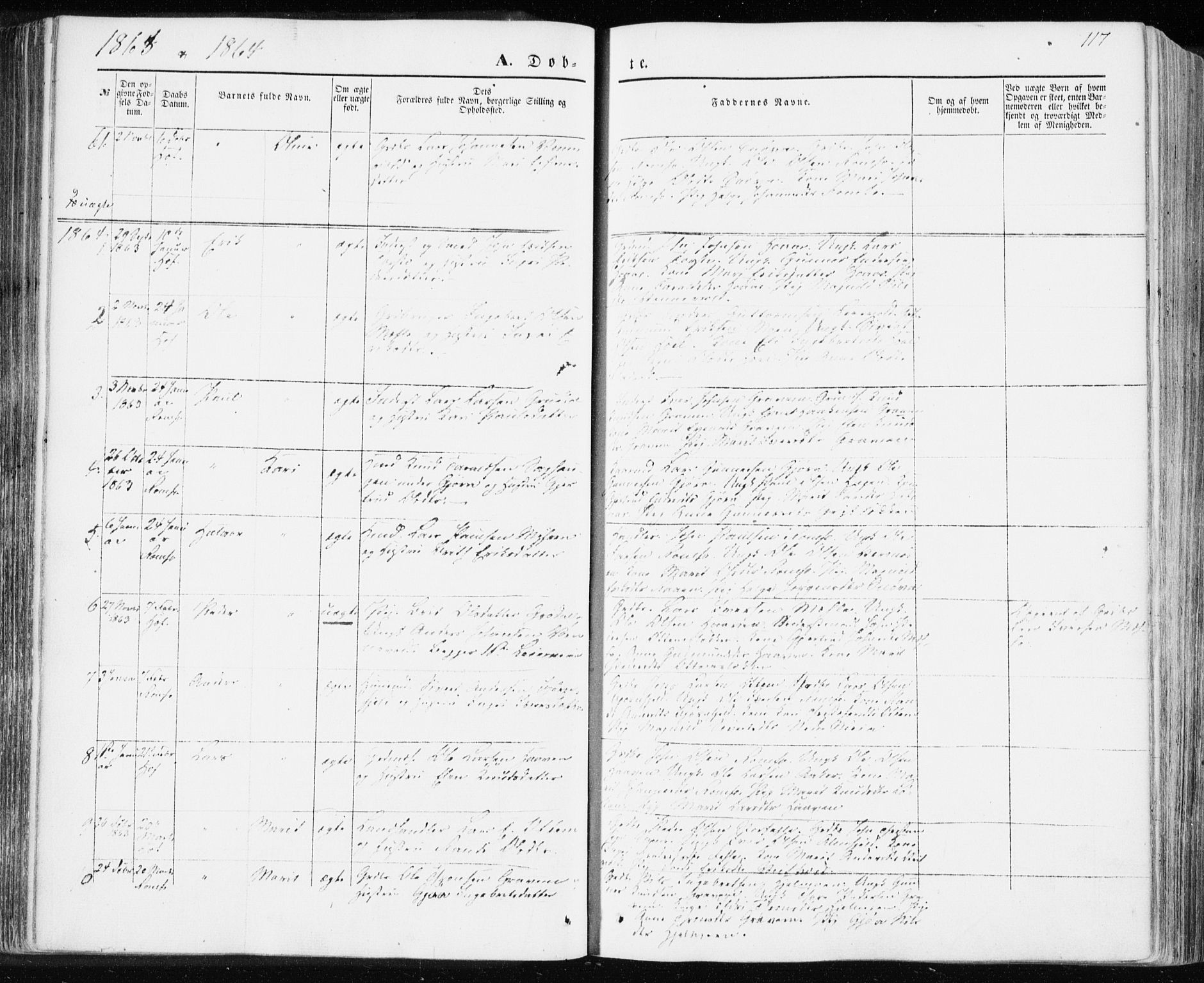 Ministerialprotokoller, klokkerbøker og fødselsregistre - Møre og Romsdal, SAT/A-1454/590/L1013: Parish register (official) no. 590A05, 1847-1877, p. 117