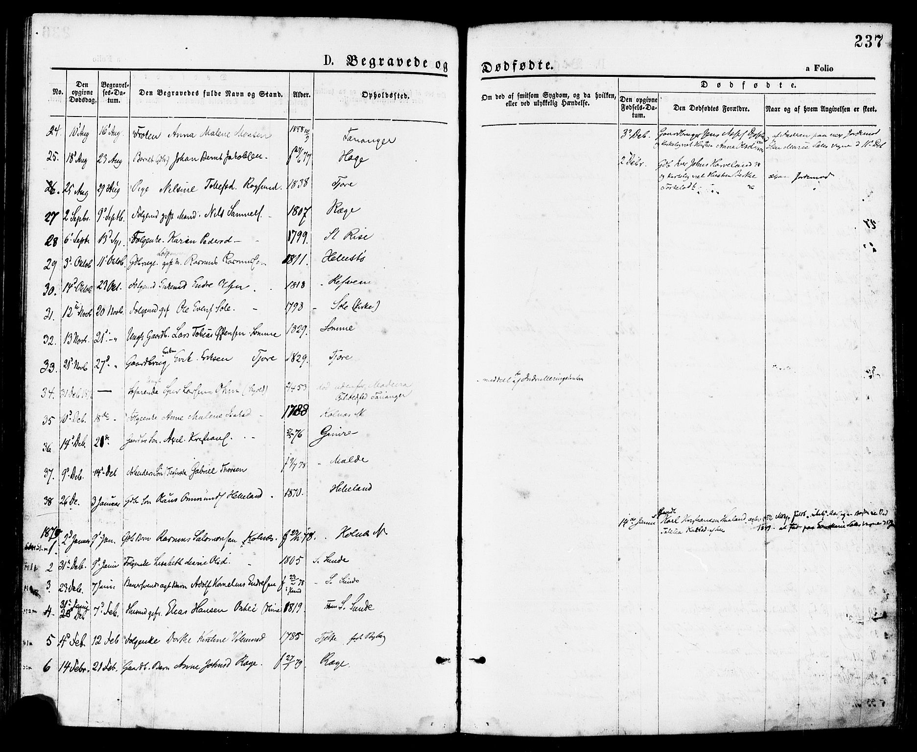 Håland sokneprestkontor, SAST/A-101802/001/30BA/L0009: Parish register (official) no. A 8, 1871-1882, p. 237