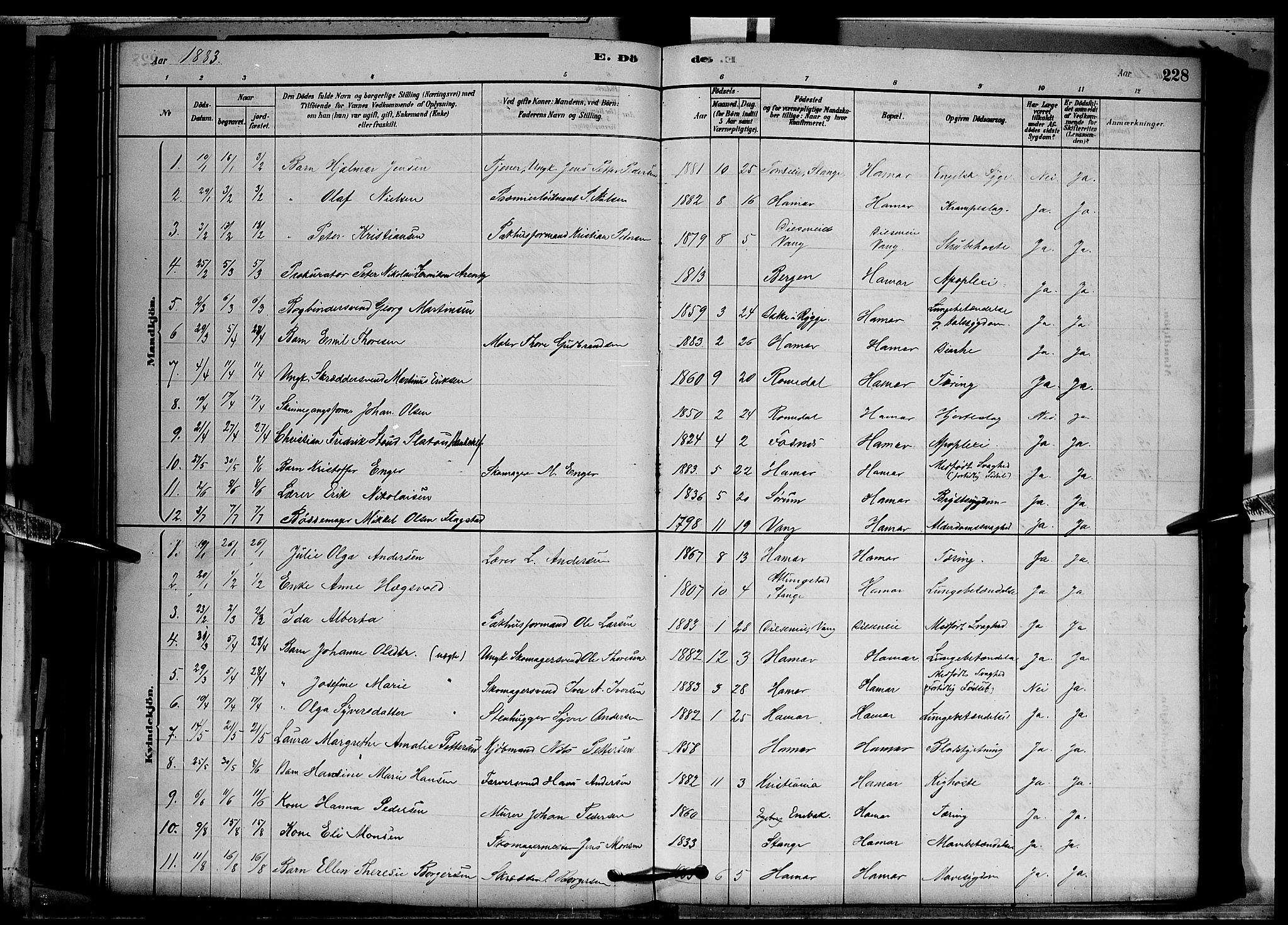 Vang prestekontor, Hedmark, SAH/PREST-008/H/Ha/Hab/L0012: Parish register (copy) no. 12, 1878-1889, p. 228