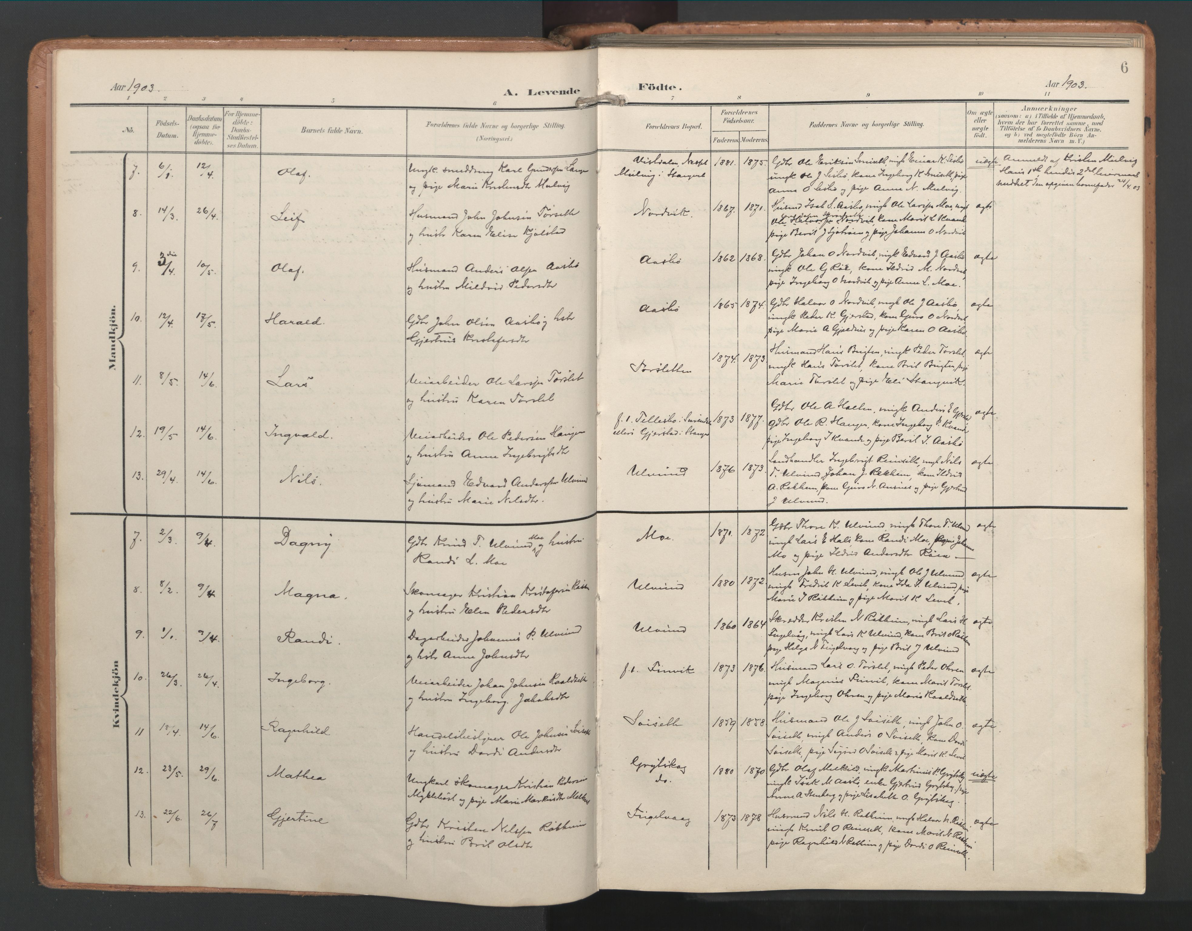 Ministerialprotokoller, klokkerbøker og fødselsregistre - Møre og Romsdal, SAT/A-1454/592/L1030: Parish register (official) no. 592A08, 1901-1925, p. 6