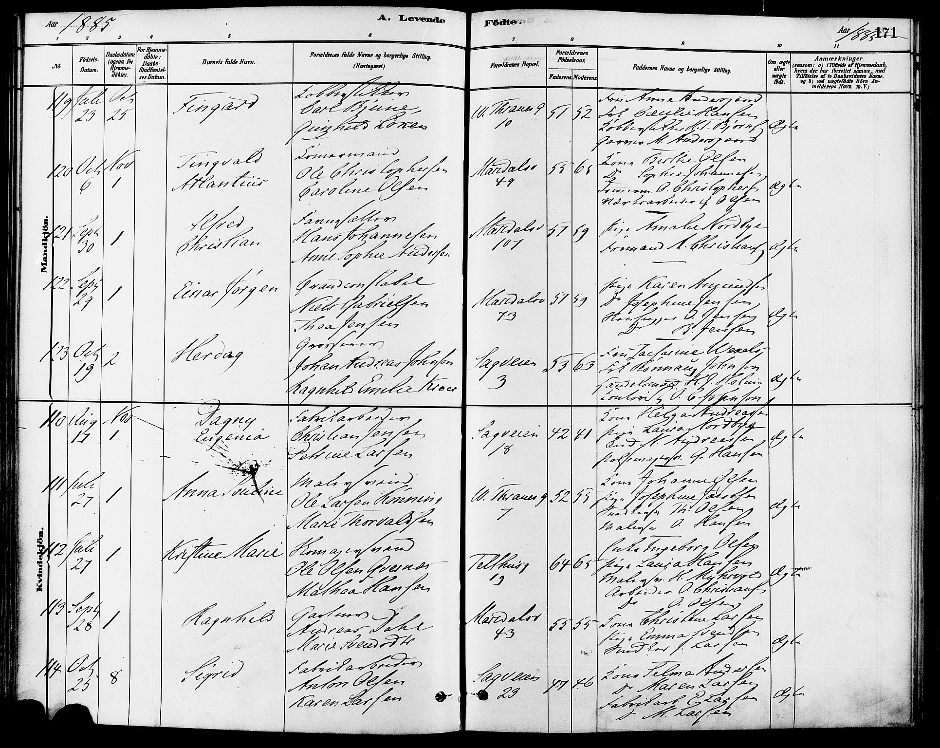 Gamle Aker prestekontor Kirkebøker, AV/SAO-A-10617a/F/L0006: Parish register (official) no. 6, 1880-1887, p. 171