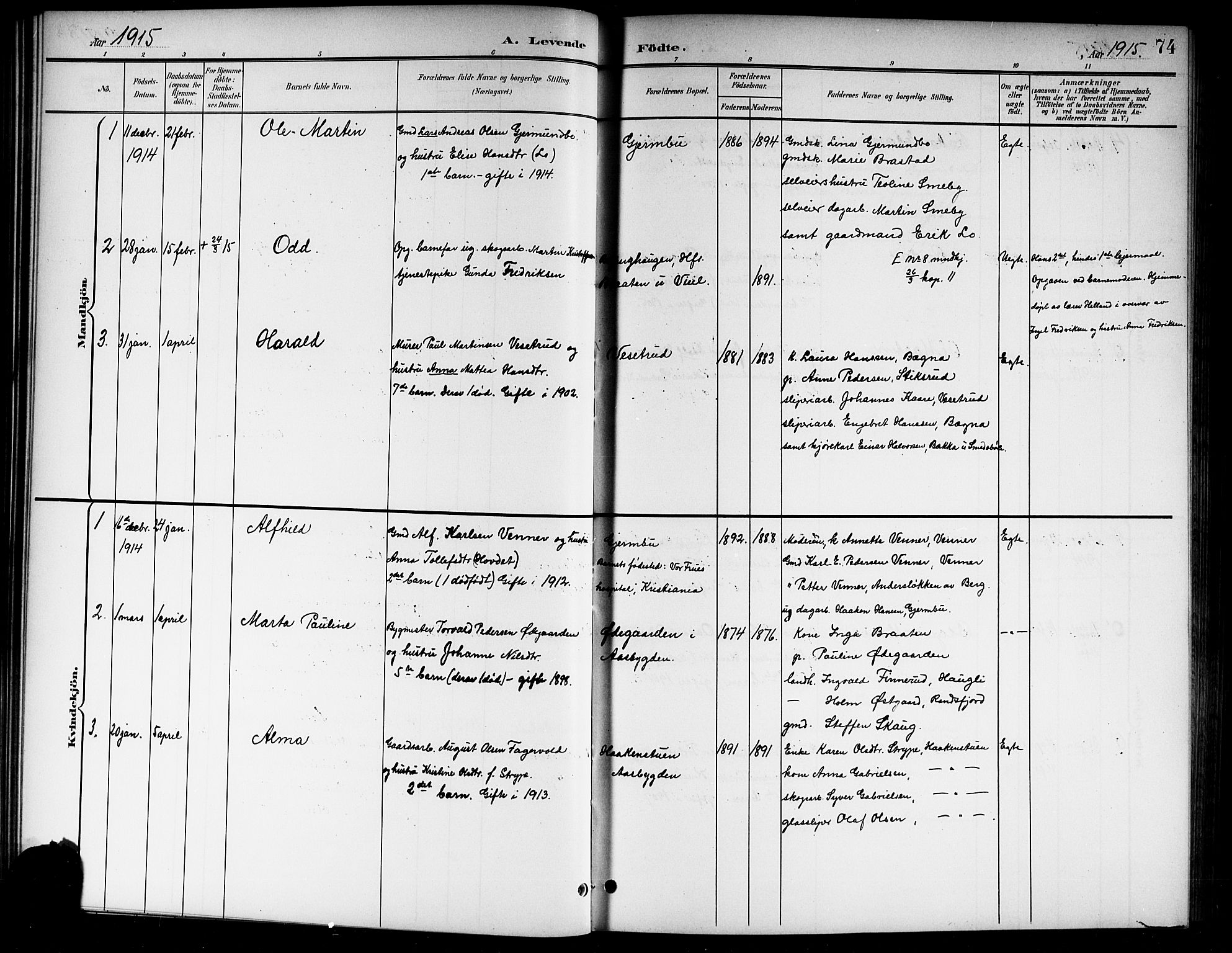 Norderhov kirkebøker, AV/SAKO-A-237/G/Gb/L0002: Parish register (copy) no. II 2, 1891-1921, p. 74