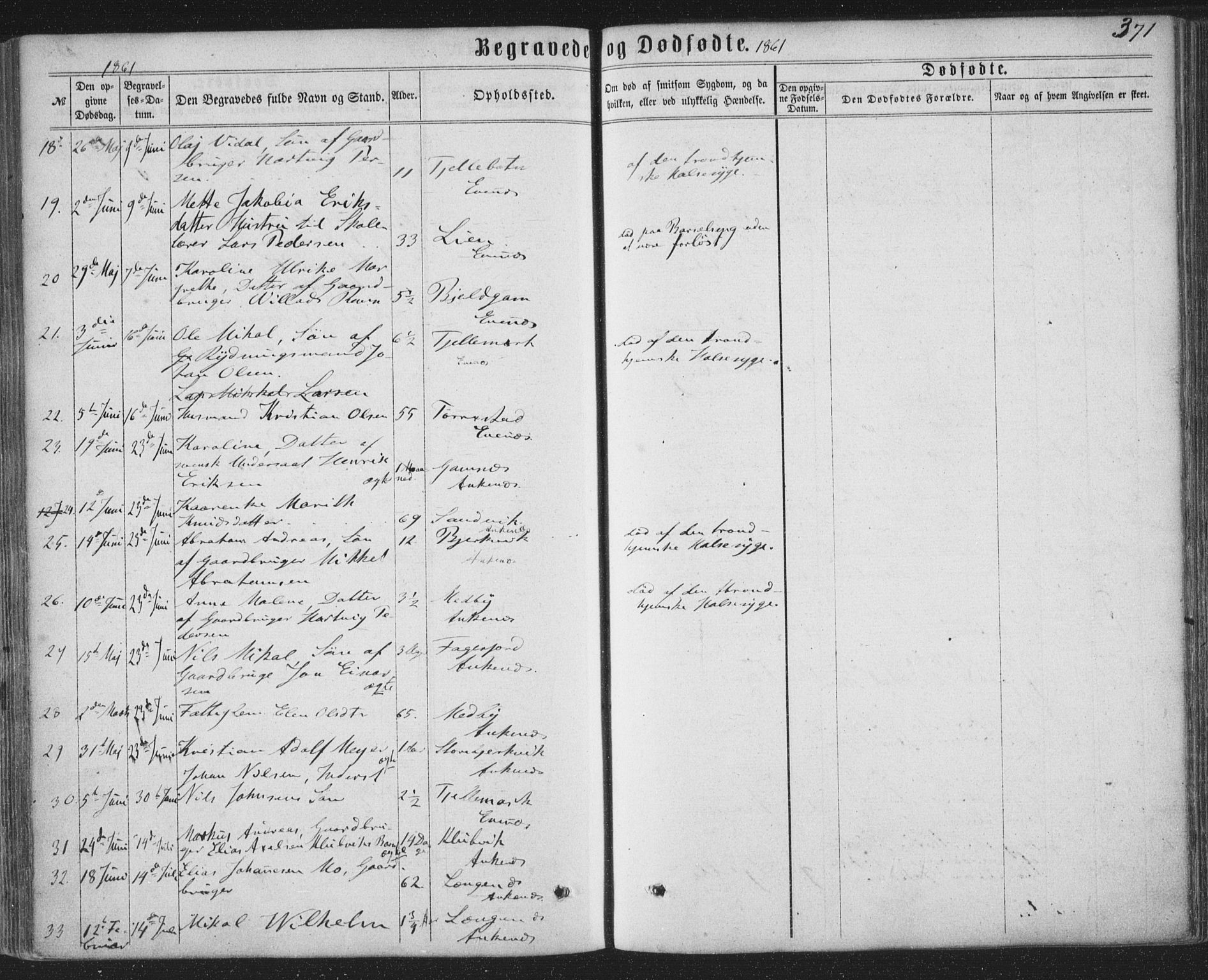 Ministerialprotokoller, klokkerbøker og fødselsregistre - Nordland, SAT/A-1459/863/L0896: Parish register (official) no. 863A08, 1861-1871, p. 371