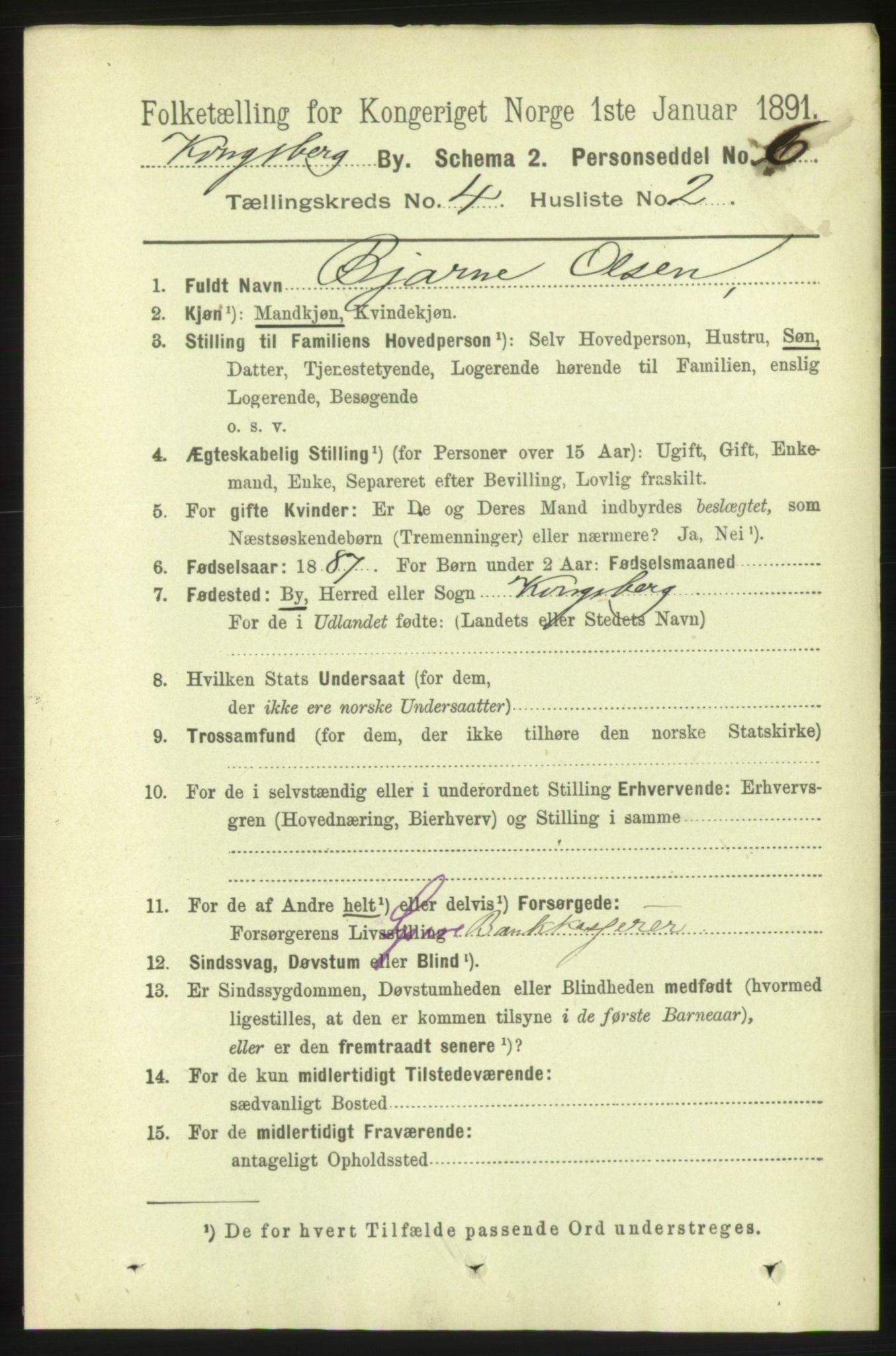 RA, 1891 census for 0604 Kongsberg, 1891, p. 3516