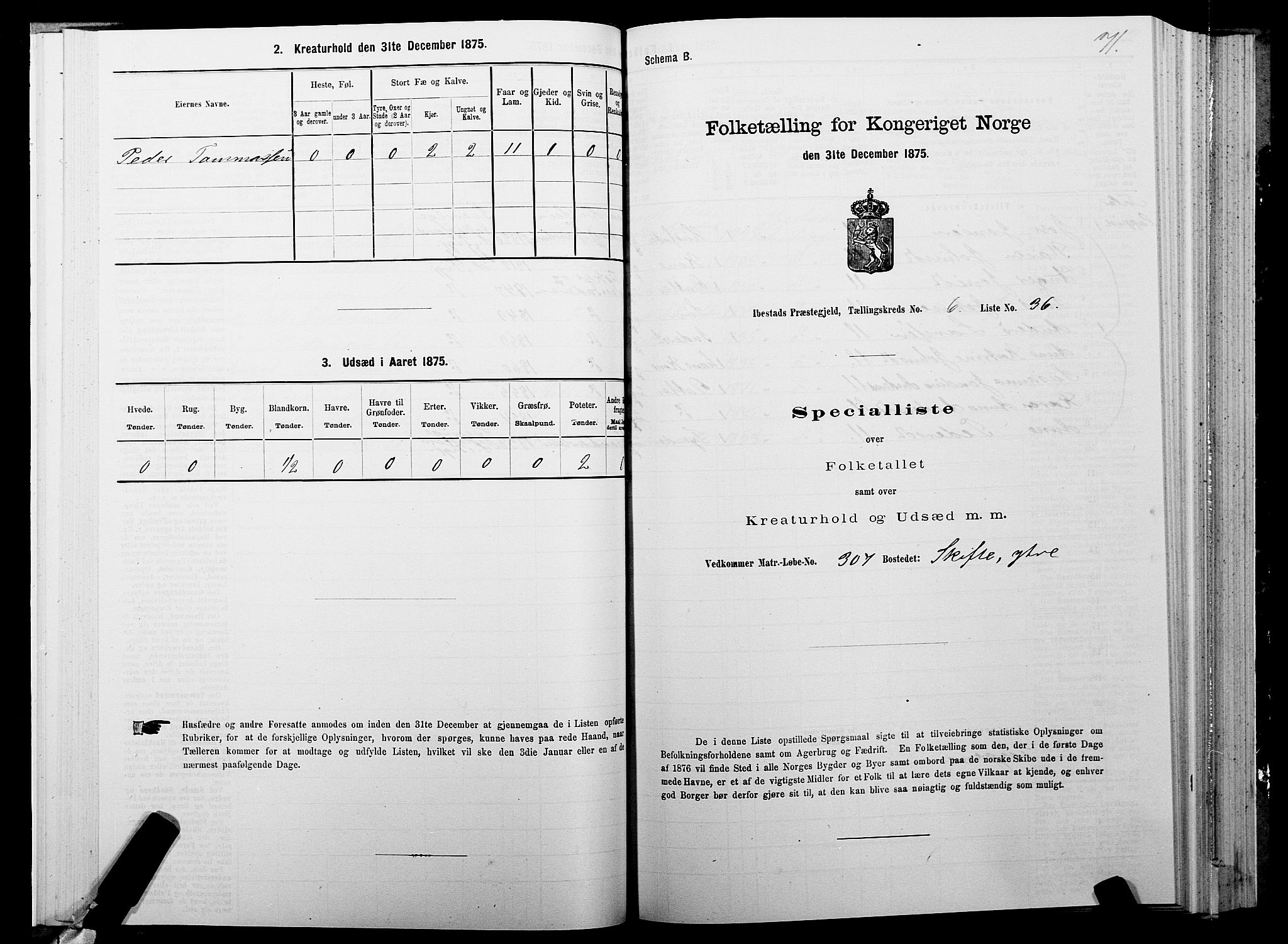 SATØ, 1875 census for 1917P Ibestad, 1875, p. 4071