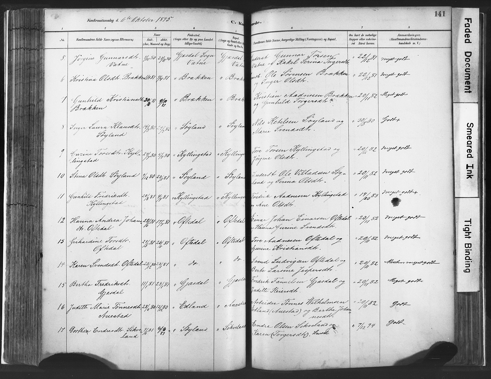 Lye sokneprestkontor, AV/SAST-A-101794/001/30BA/L0010: Parish register (official) no. A 10, 1881-1896, p. 141