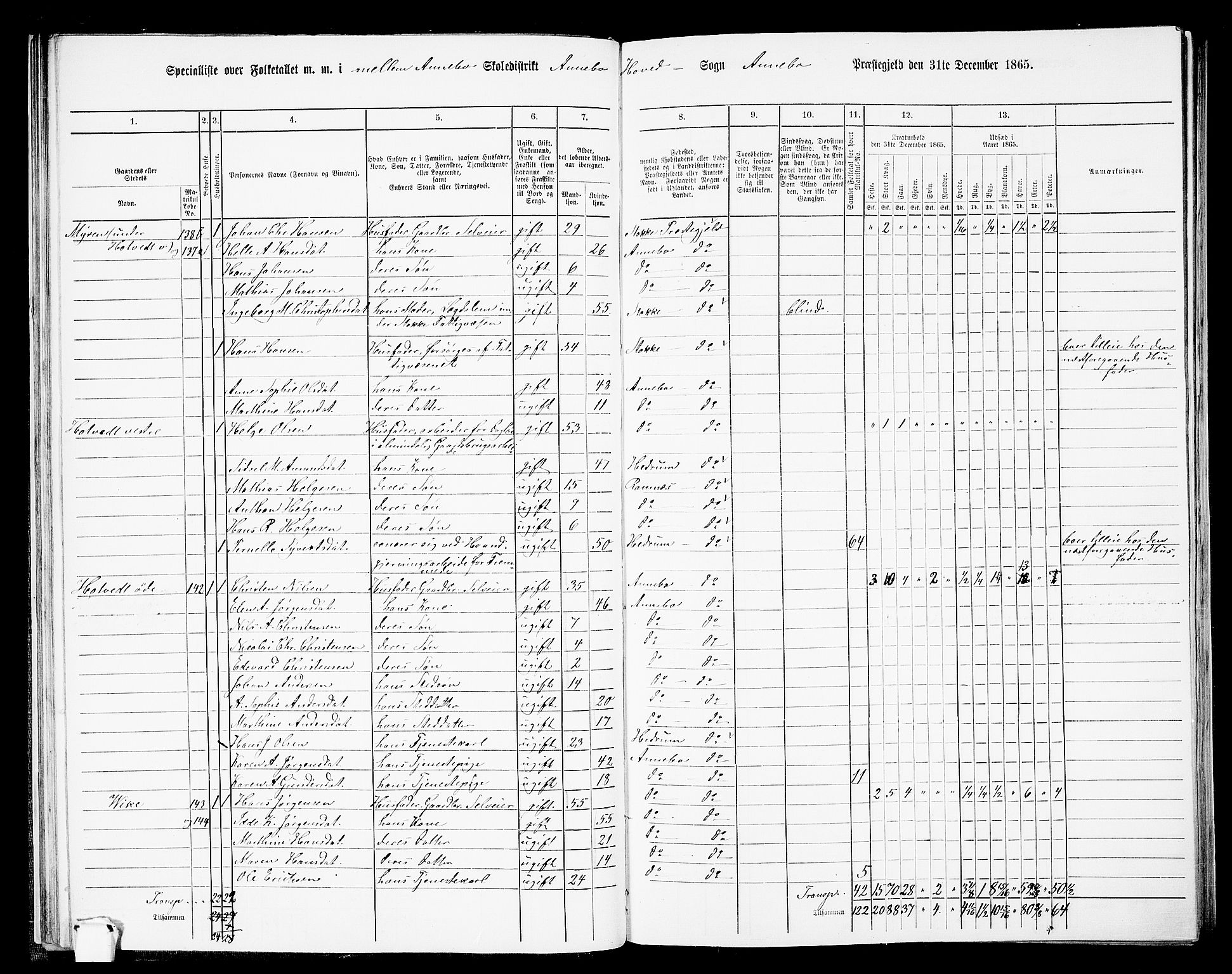 RA, 1865 census for Andebu, 1865, p. 33