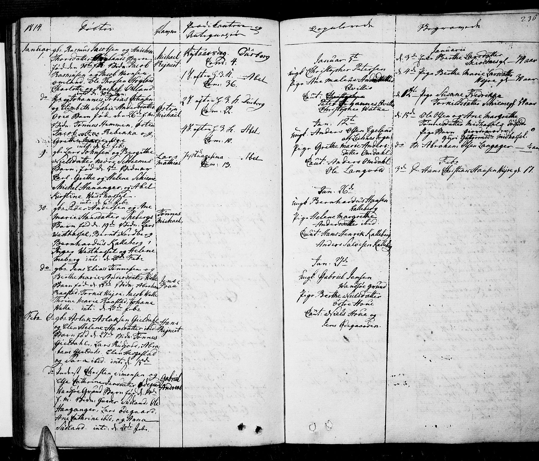 Lista sokneprestkontor, SAK/1111-0027/F/Fa/L0005: Parish register (official) no. A 5, 1795-1823, p. 236