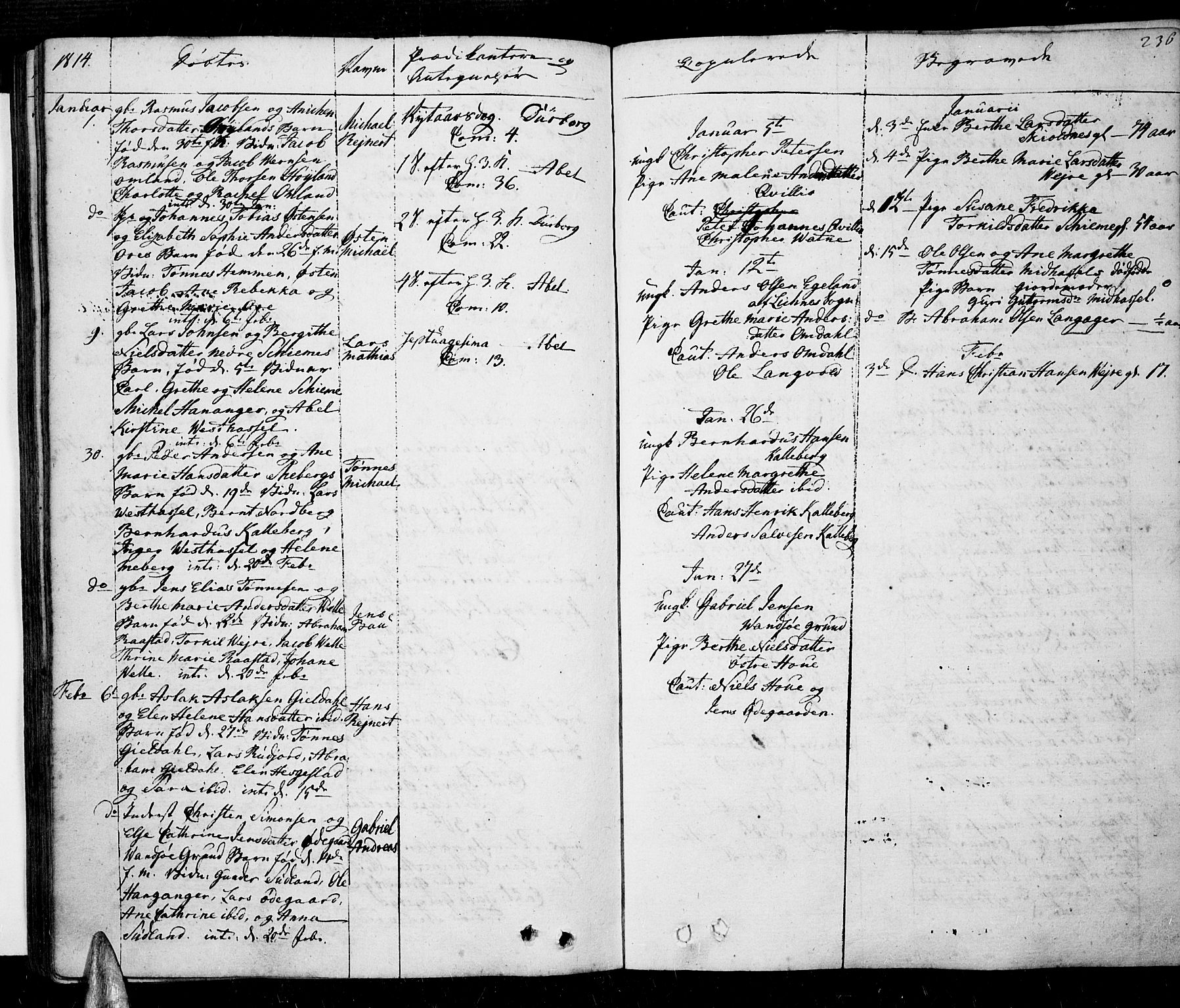 Lista sokneprestkontor, AV/SAK-1111-0027/F/Fa/L0005: Parish register (official) no. A 5, 1795-1823, p. 236