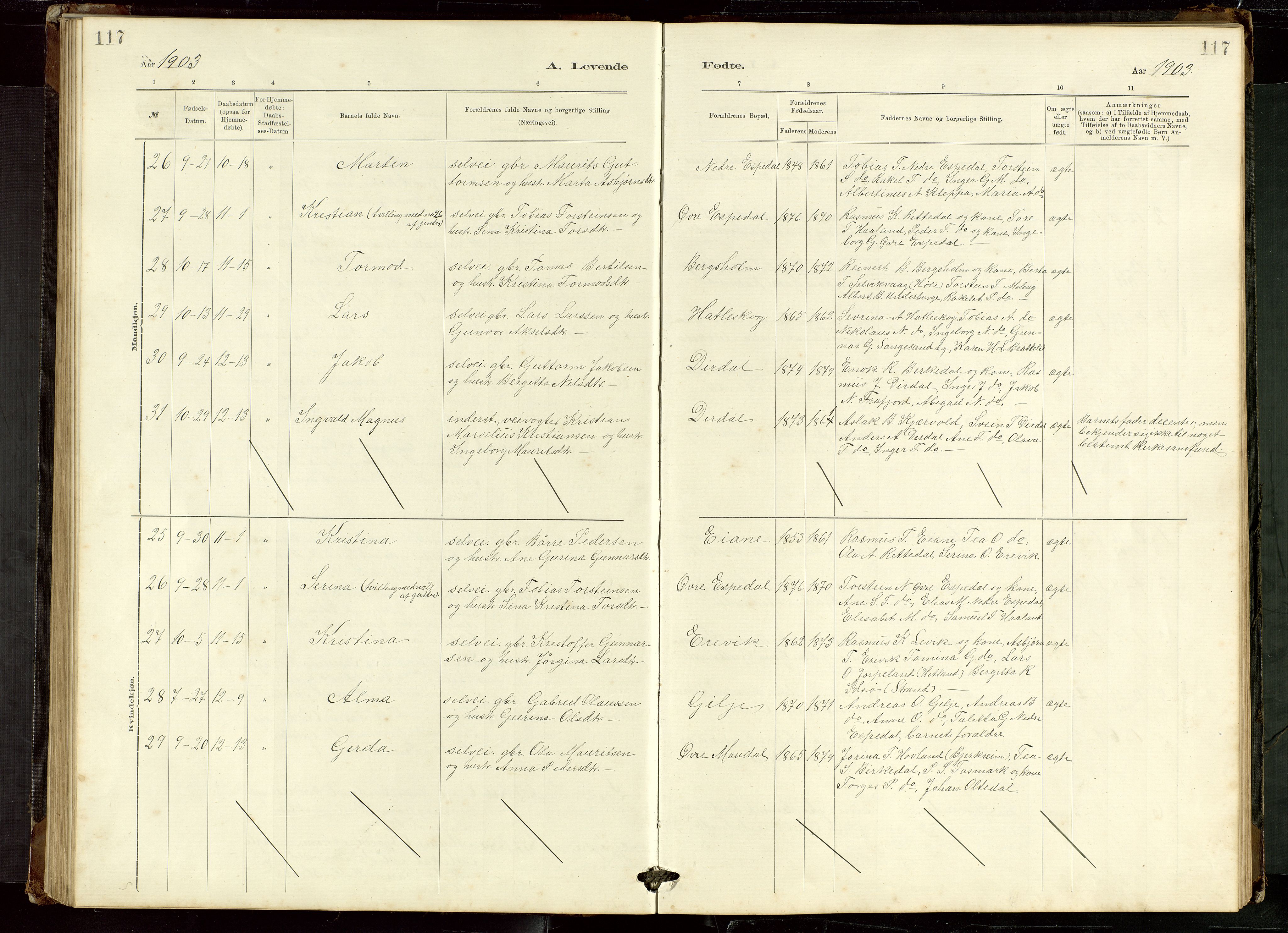 Høgsfjord sokneprestkontor, AV/SAST-A-101624/H/Ha/Hab/L0009: Parish register (copy) no. B 9, 1883-1920, p. 117